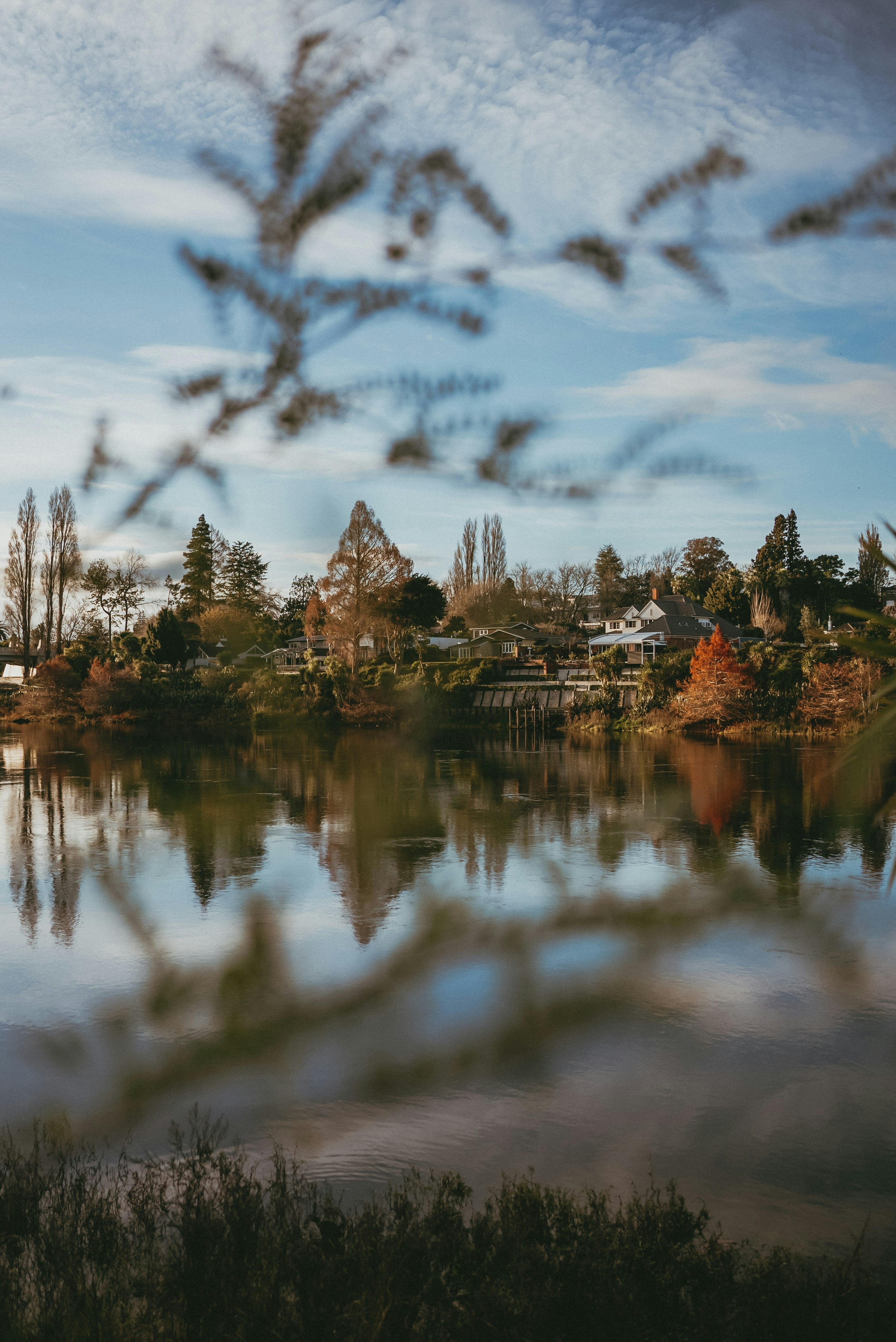 Ein Gewässer mit Bäumen im Hintergrund