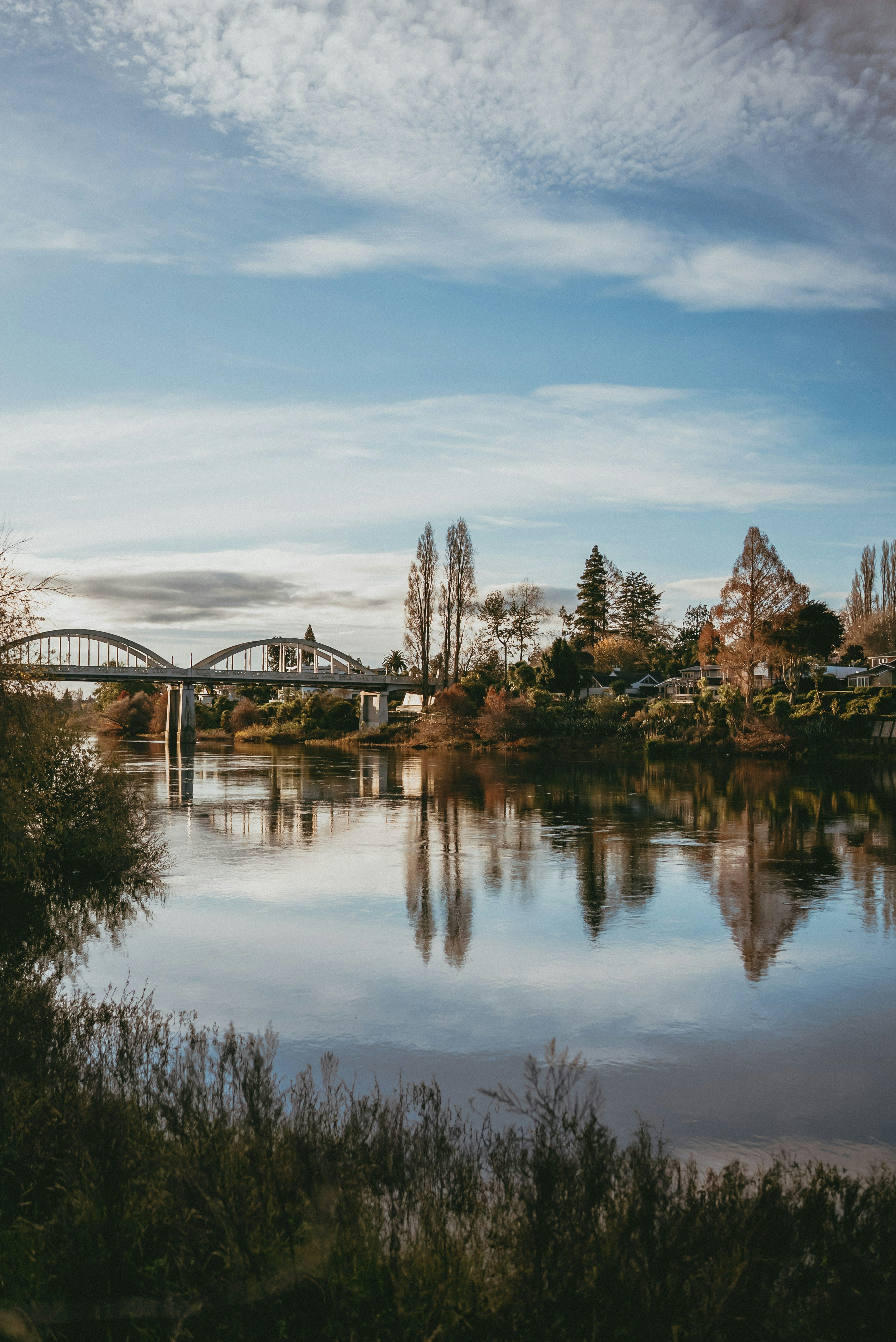 Photo by createinme_nz