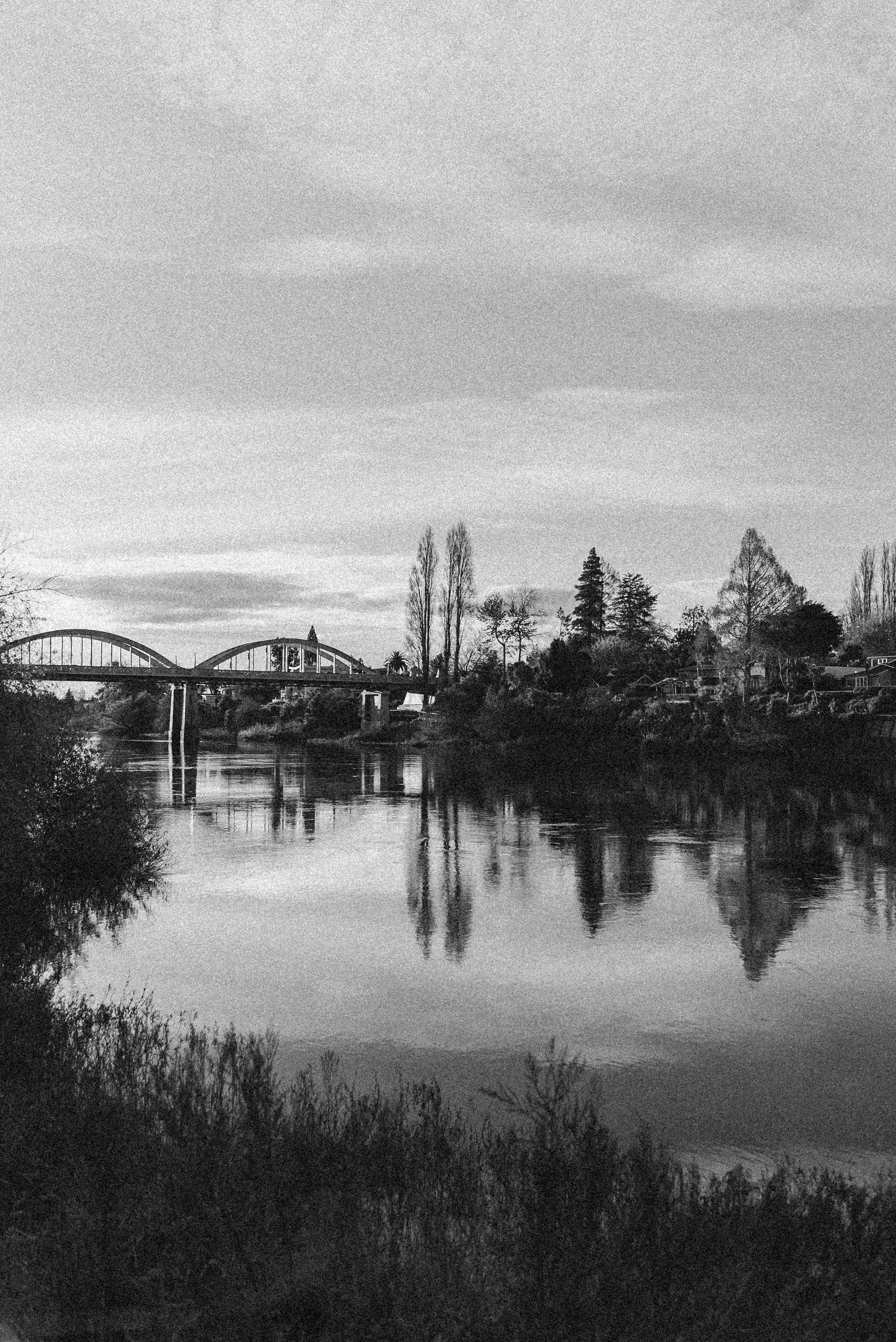 Photo by createinme_nz