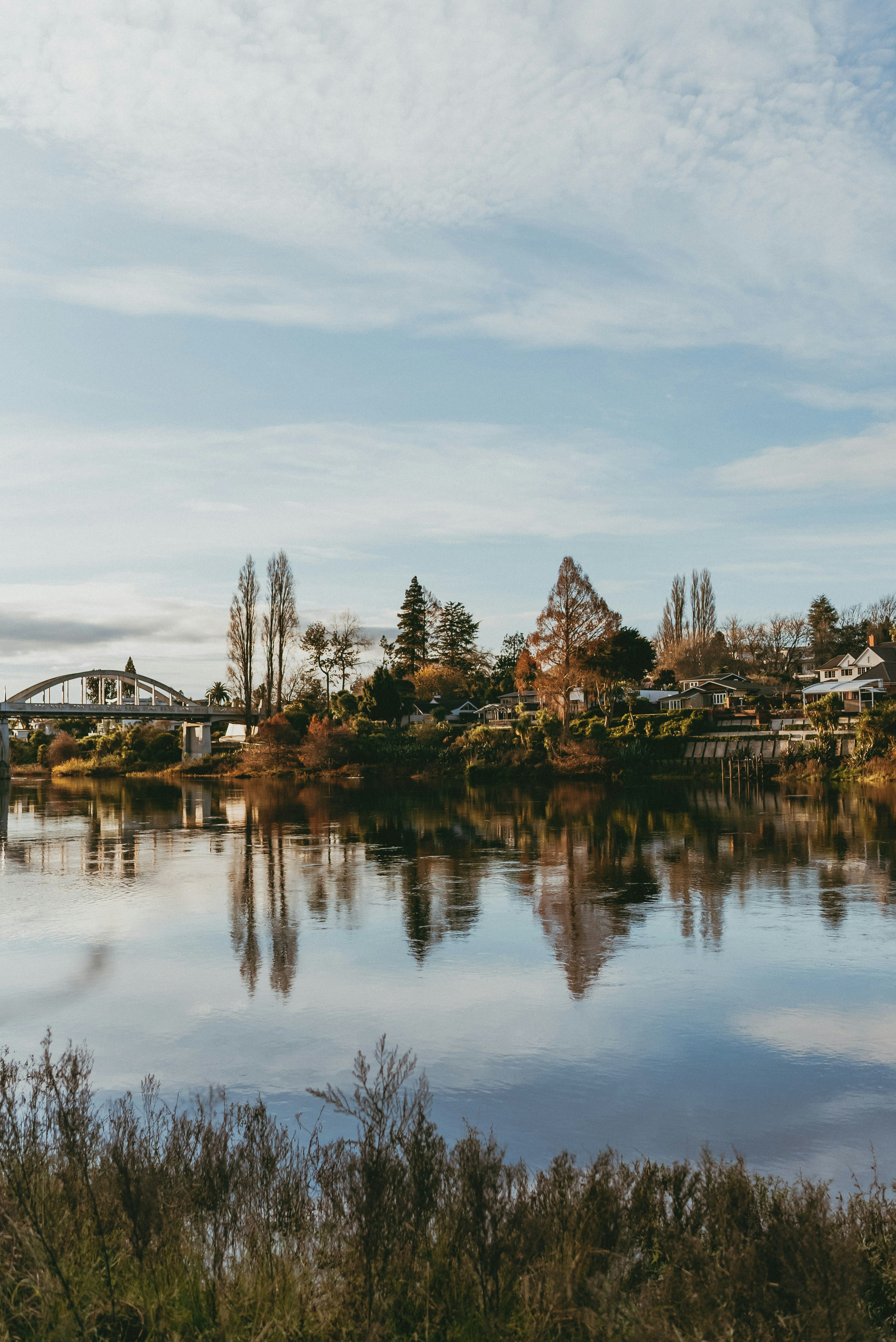 Photo by createinme_nz