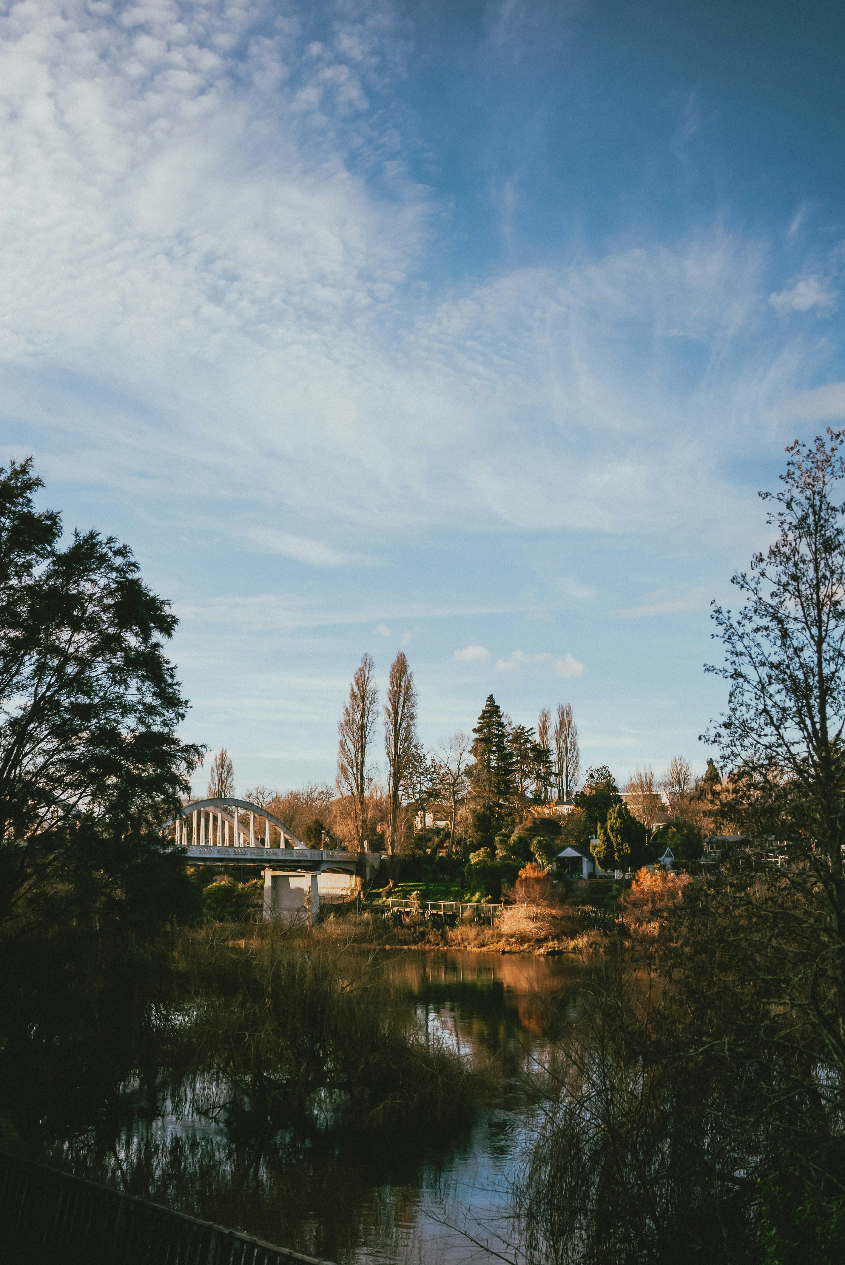 Photo by createinme_nz