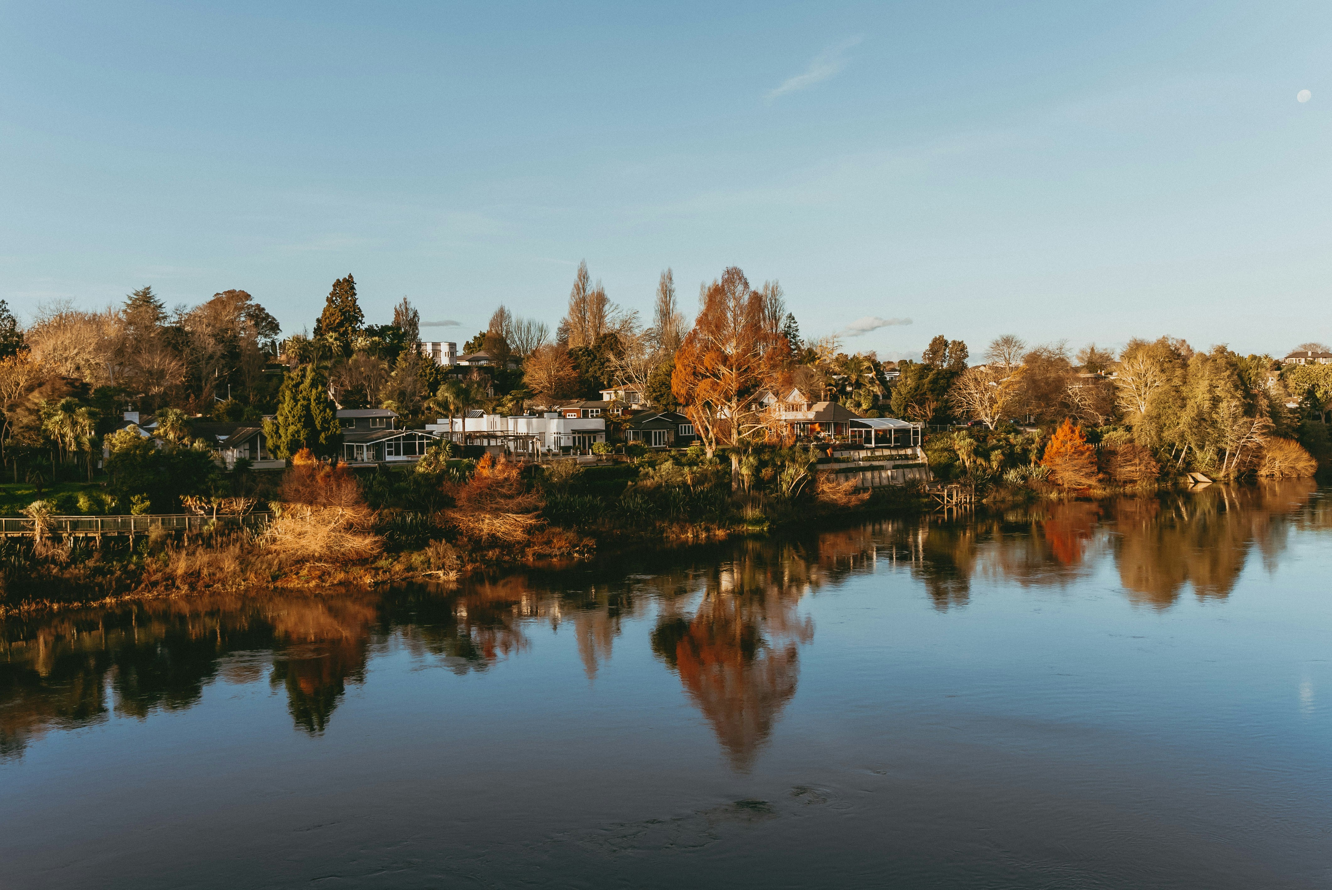 A body of water surrounded by trees and houses