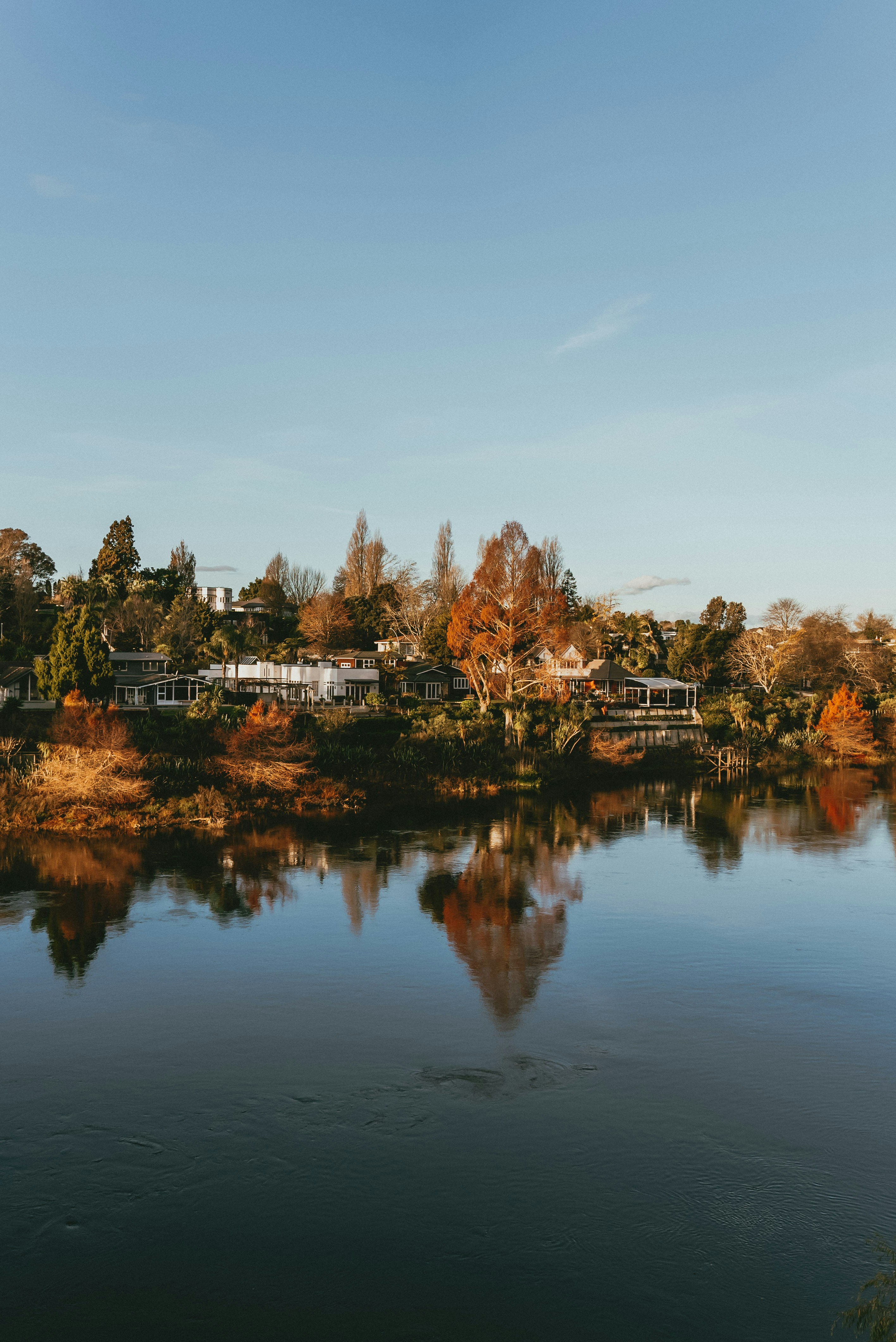 A body of water surrounded by trees and houses