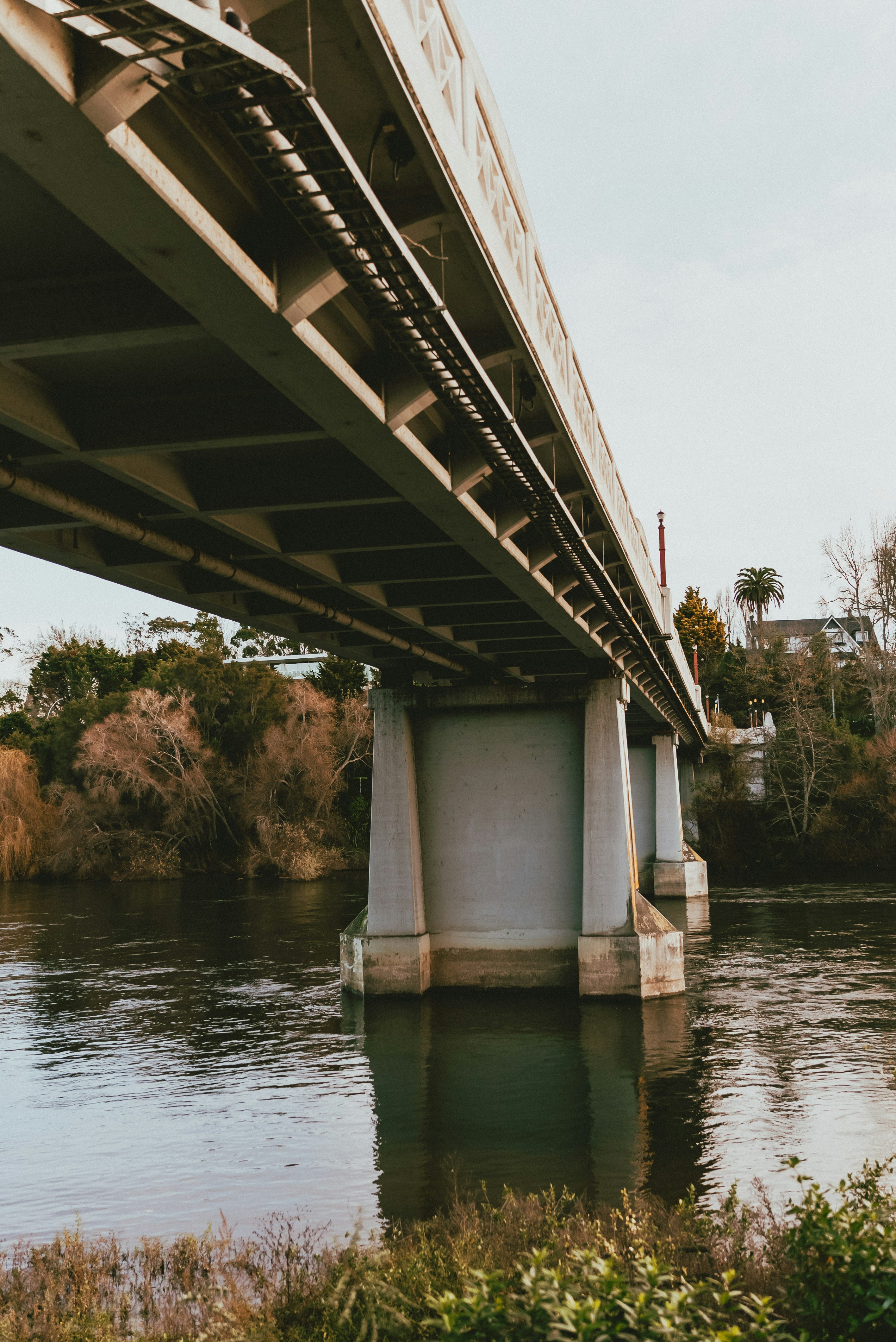 Photo by createinme_nz