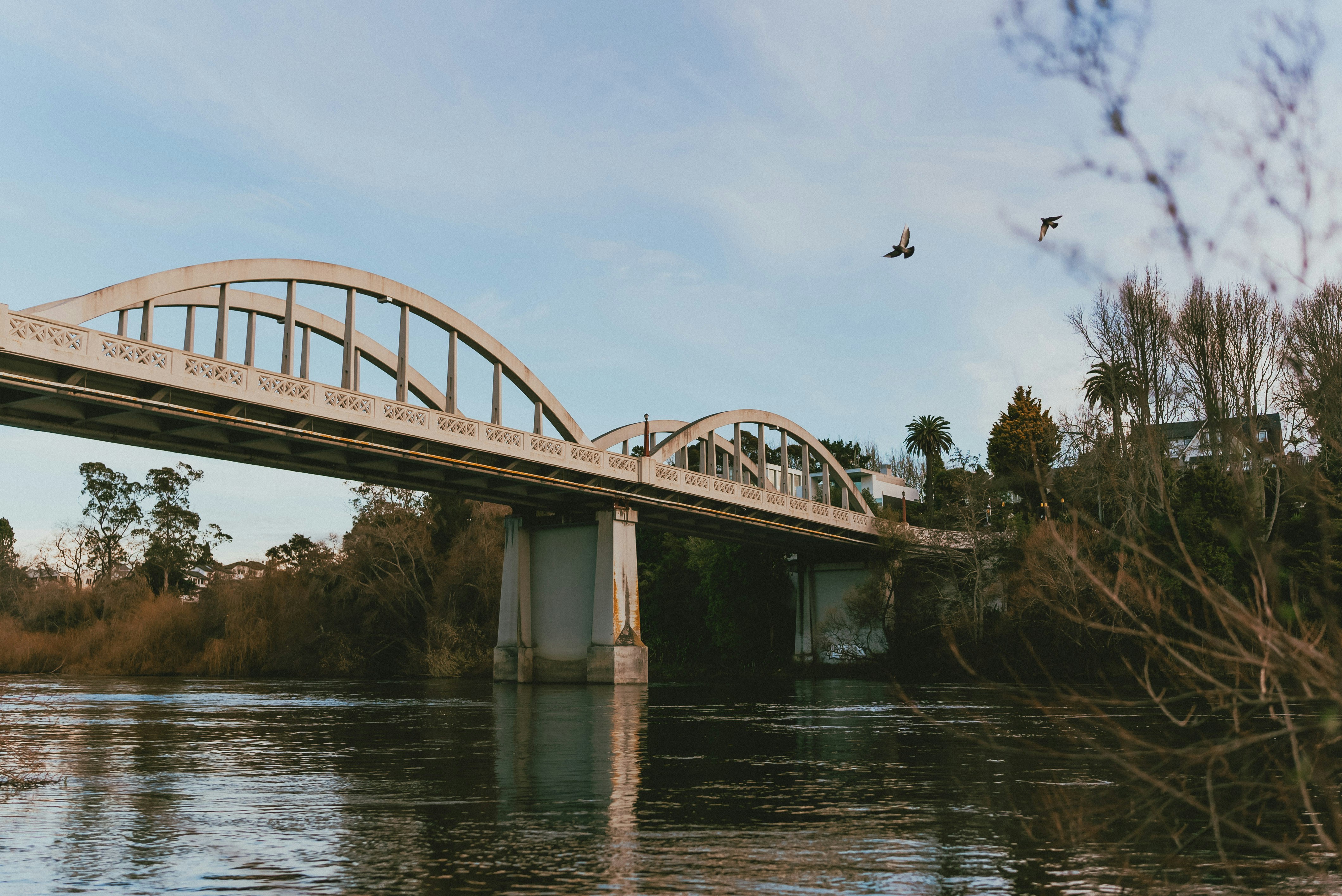 Photo by createinme_nz