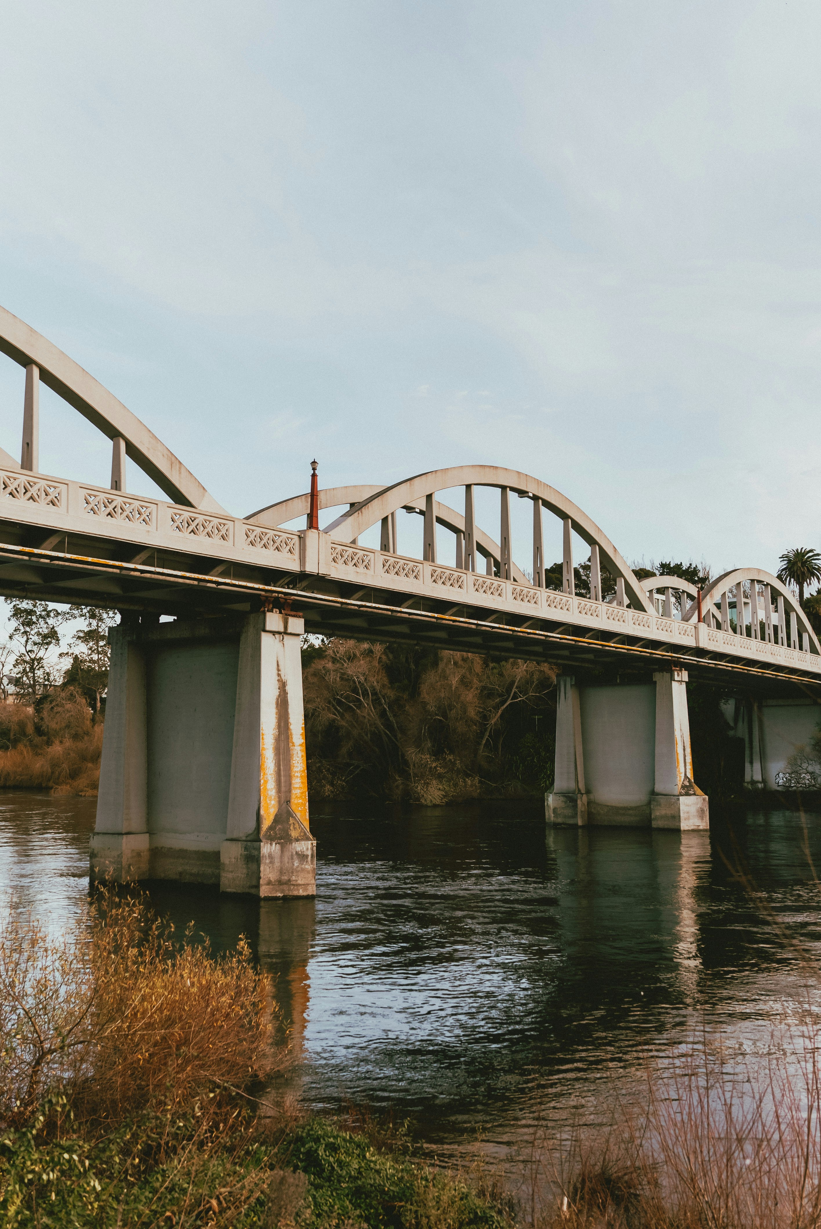 Photo by createinme_nz