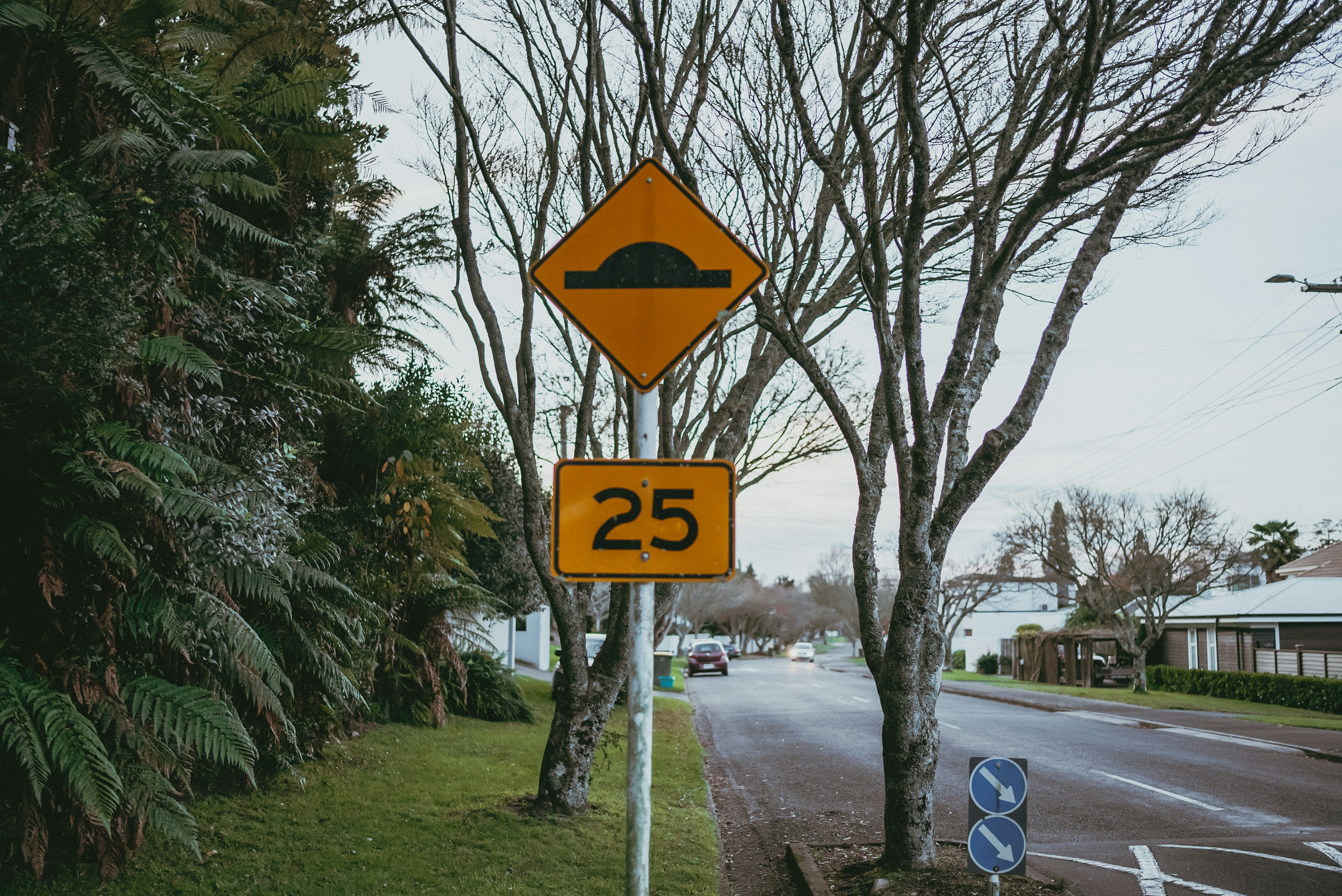 Child Material Hardship NZ: 1 in 7 Kids Surge 47,500 | Stats