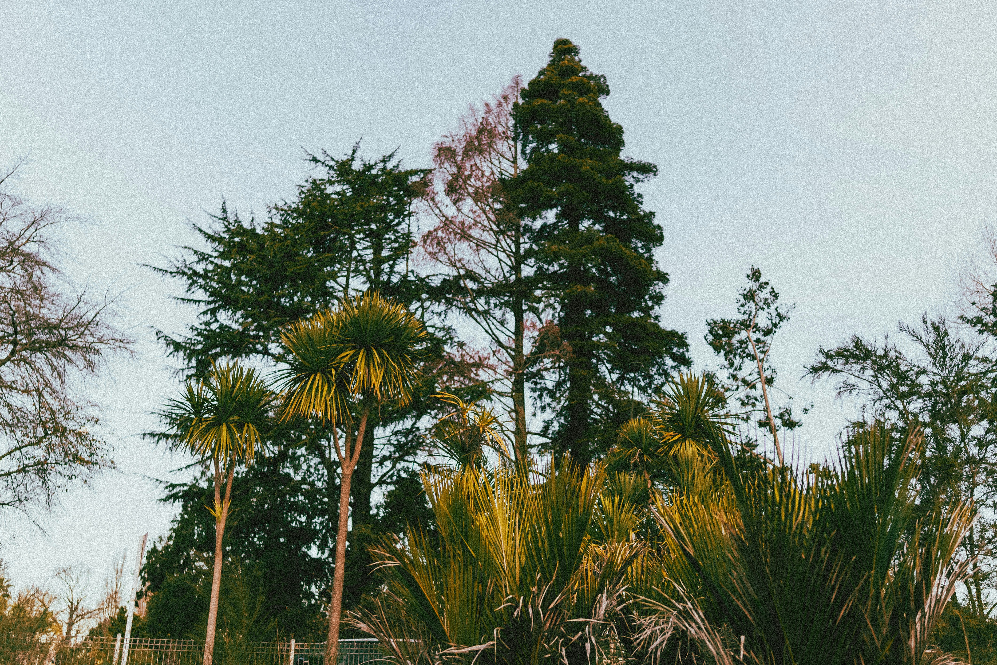 Photo by createinme_nz