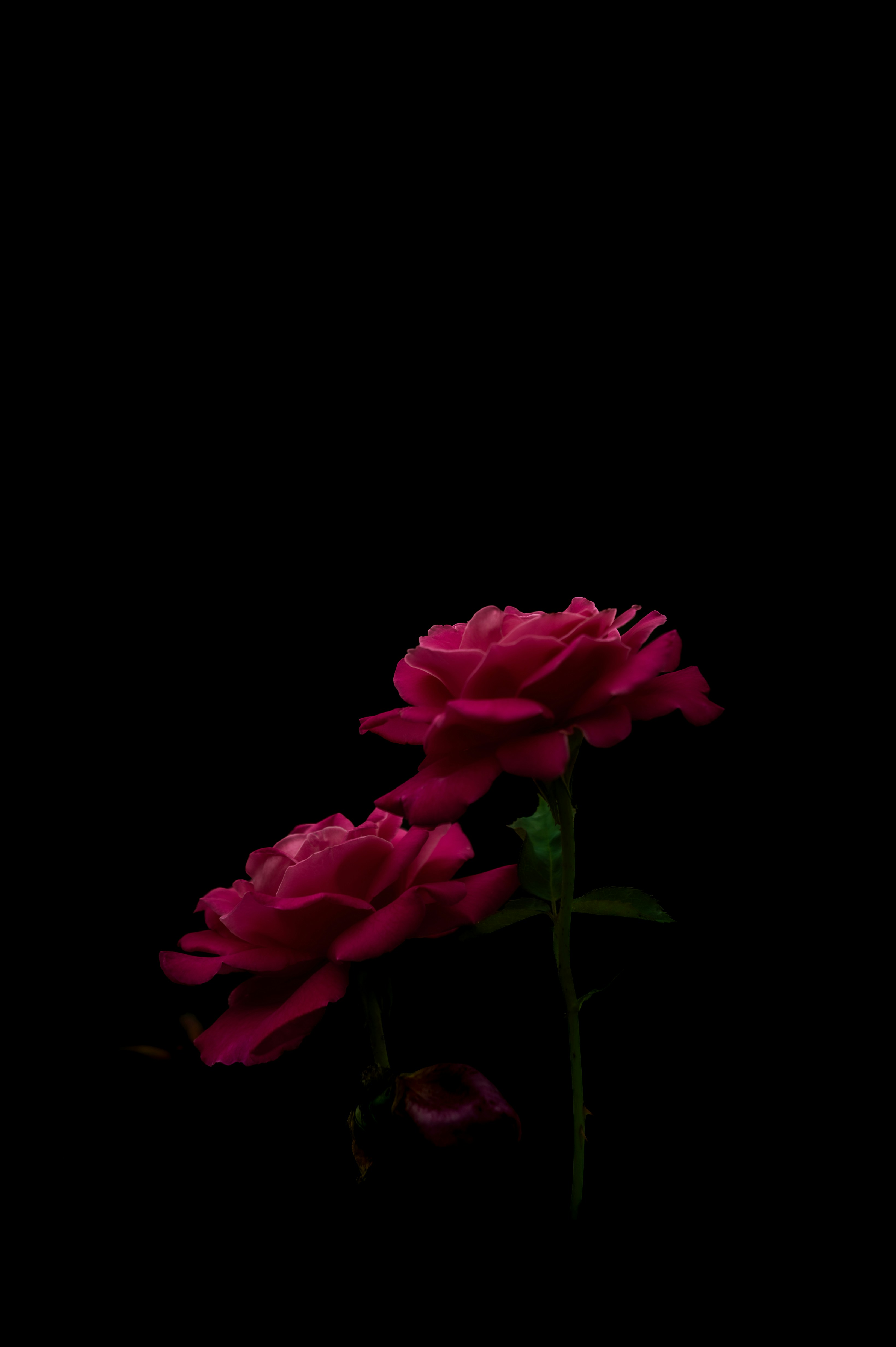 Controlada imagen destacada