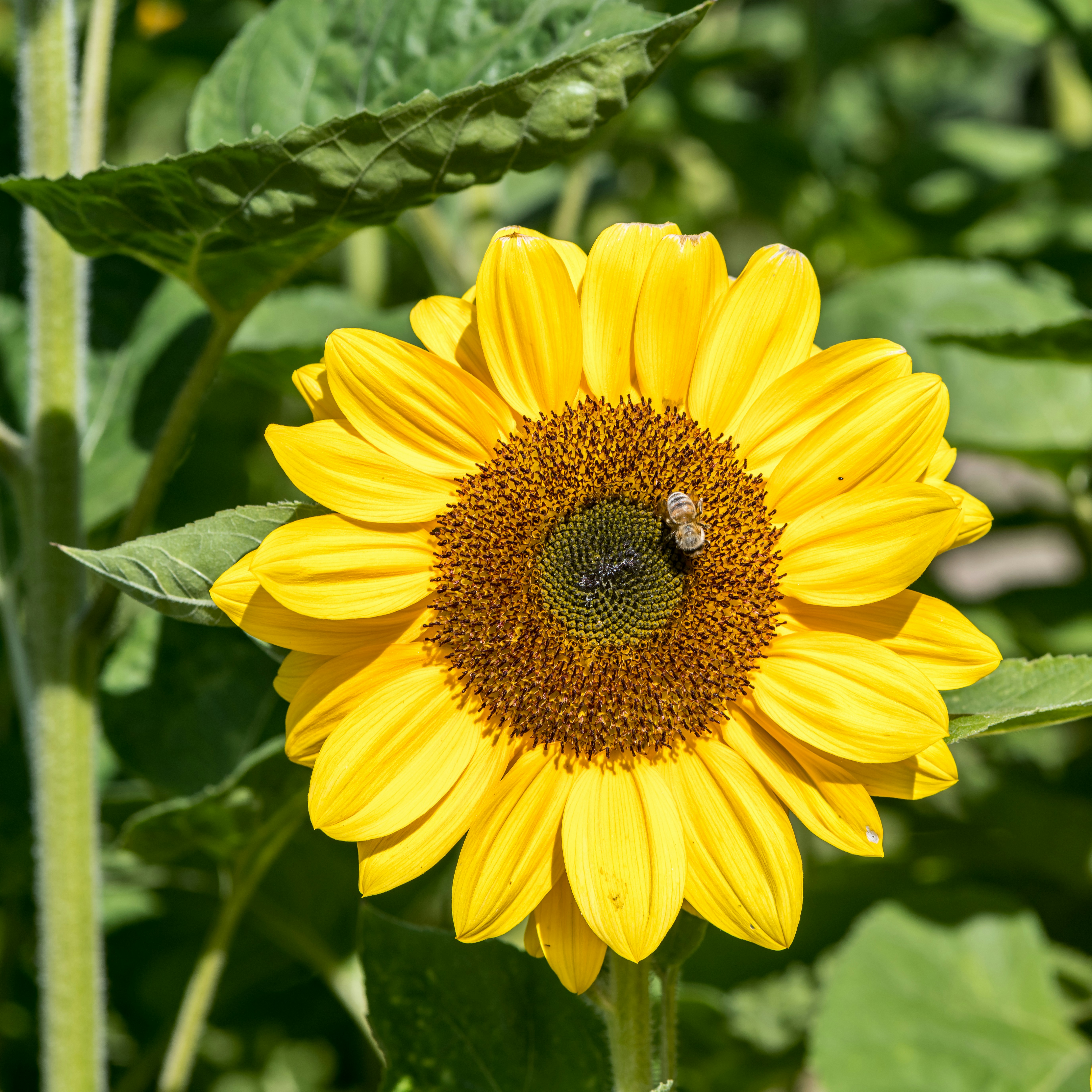 Photo by hamburgmeinefreundin