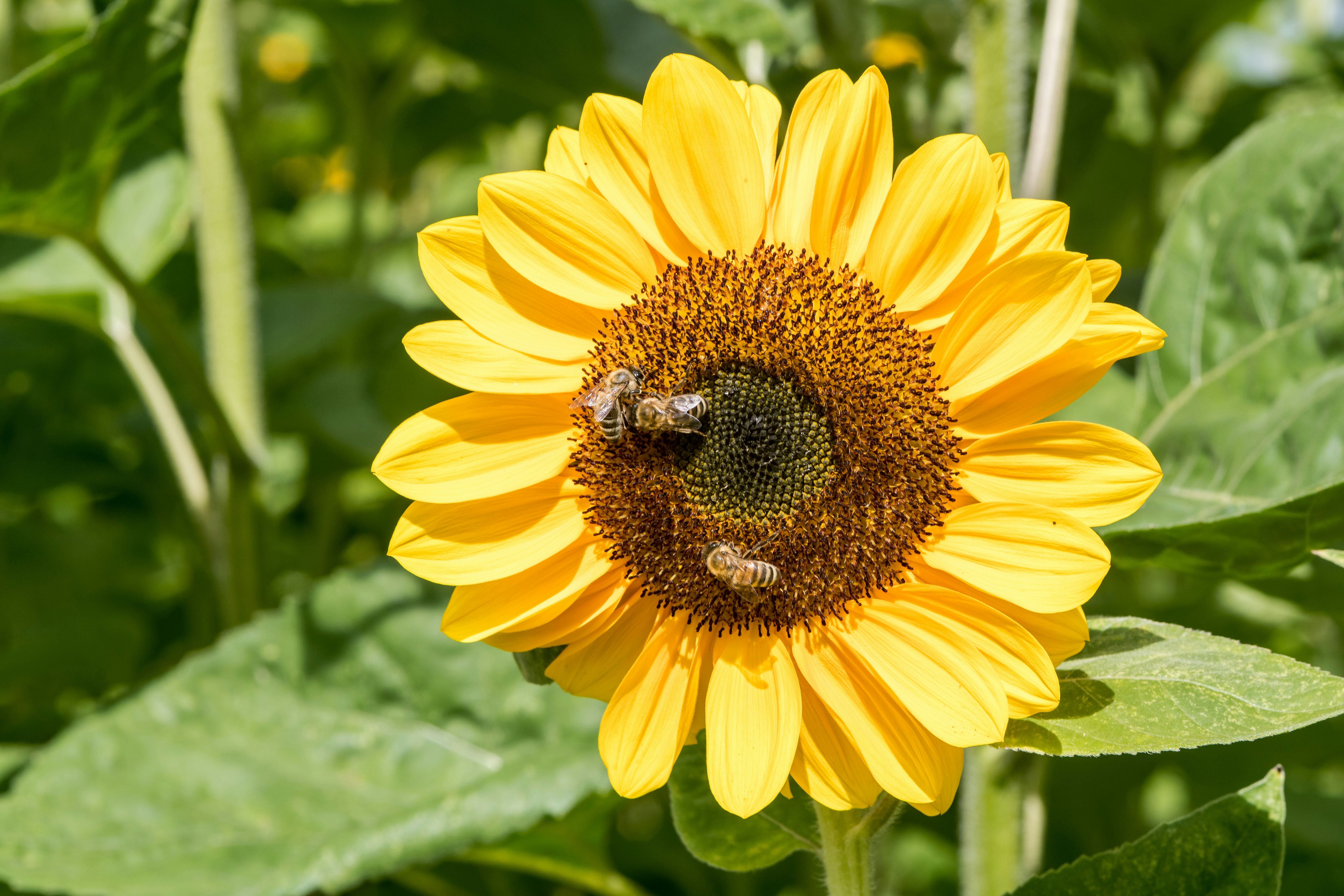 Photo by hamburgmeinefreundin