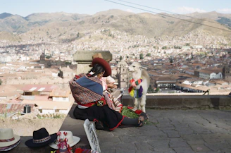 A person sitting on a ledge overlooking a city