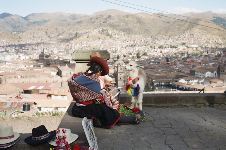 A person sitting on a ledge overlooking a city