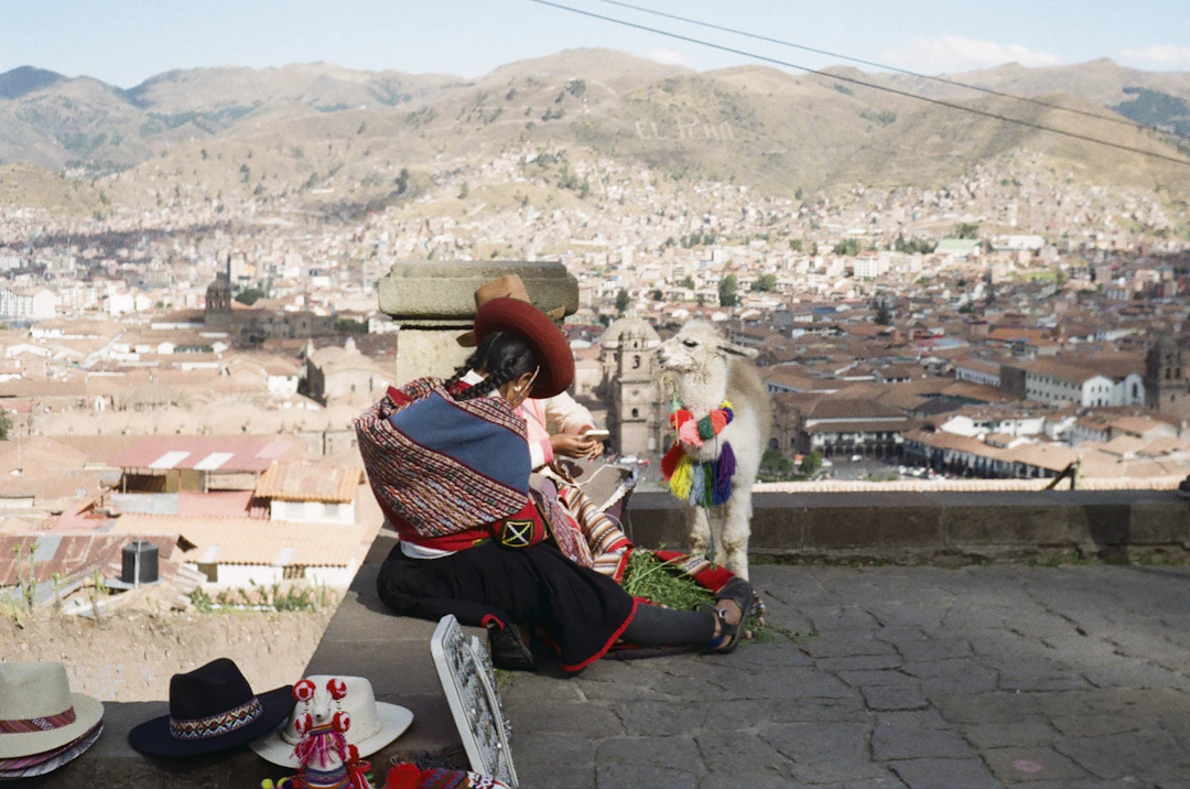 A person sitting on a ledge overlooking a city
