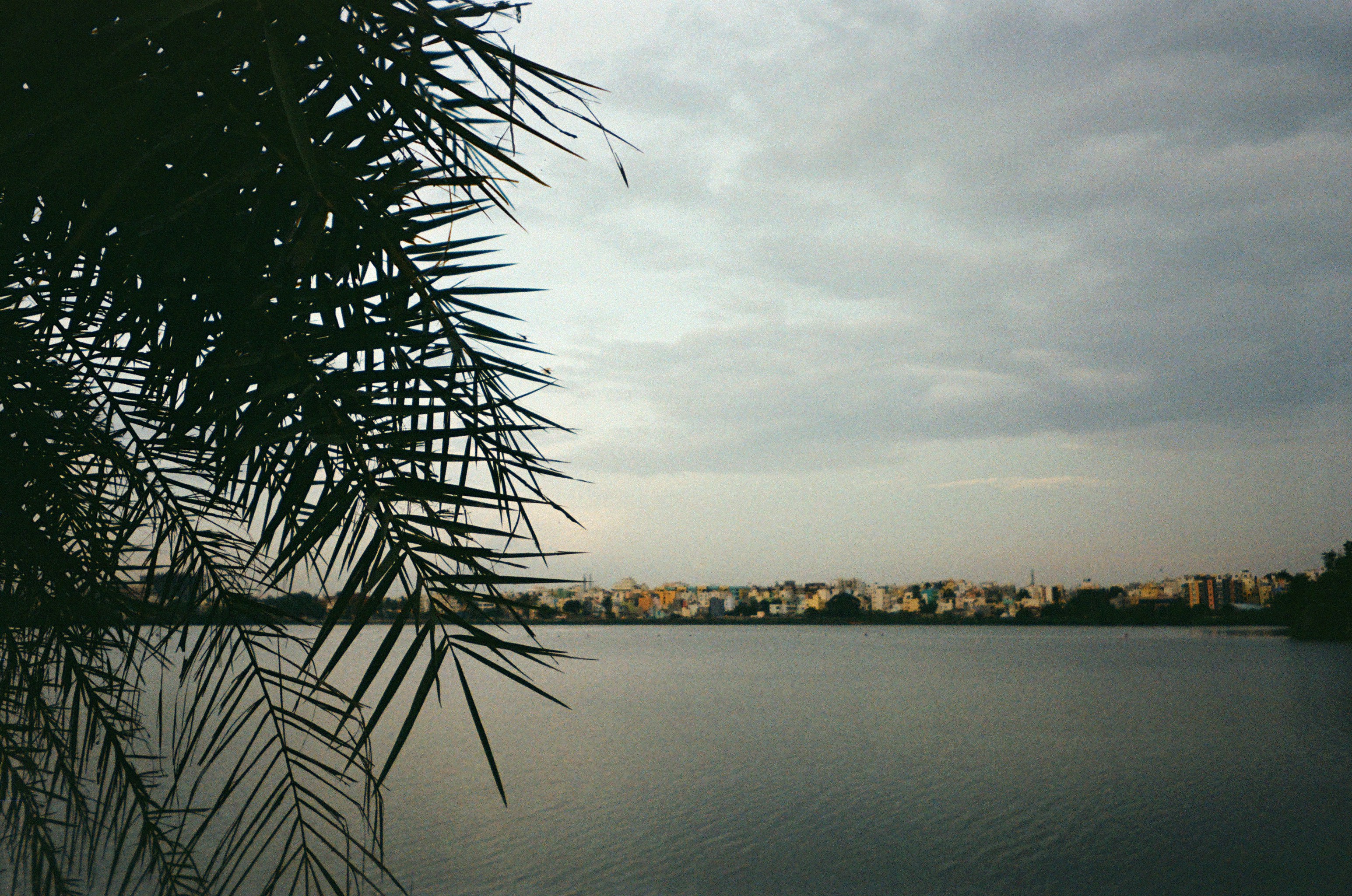 Photo by bhargavpanchal1986