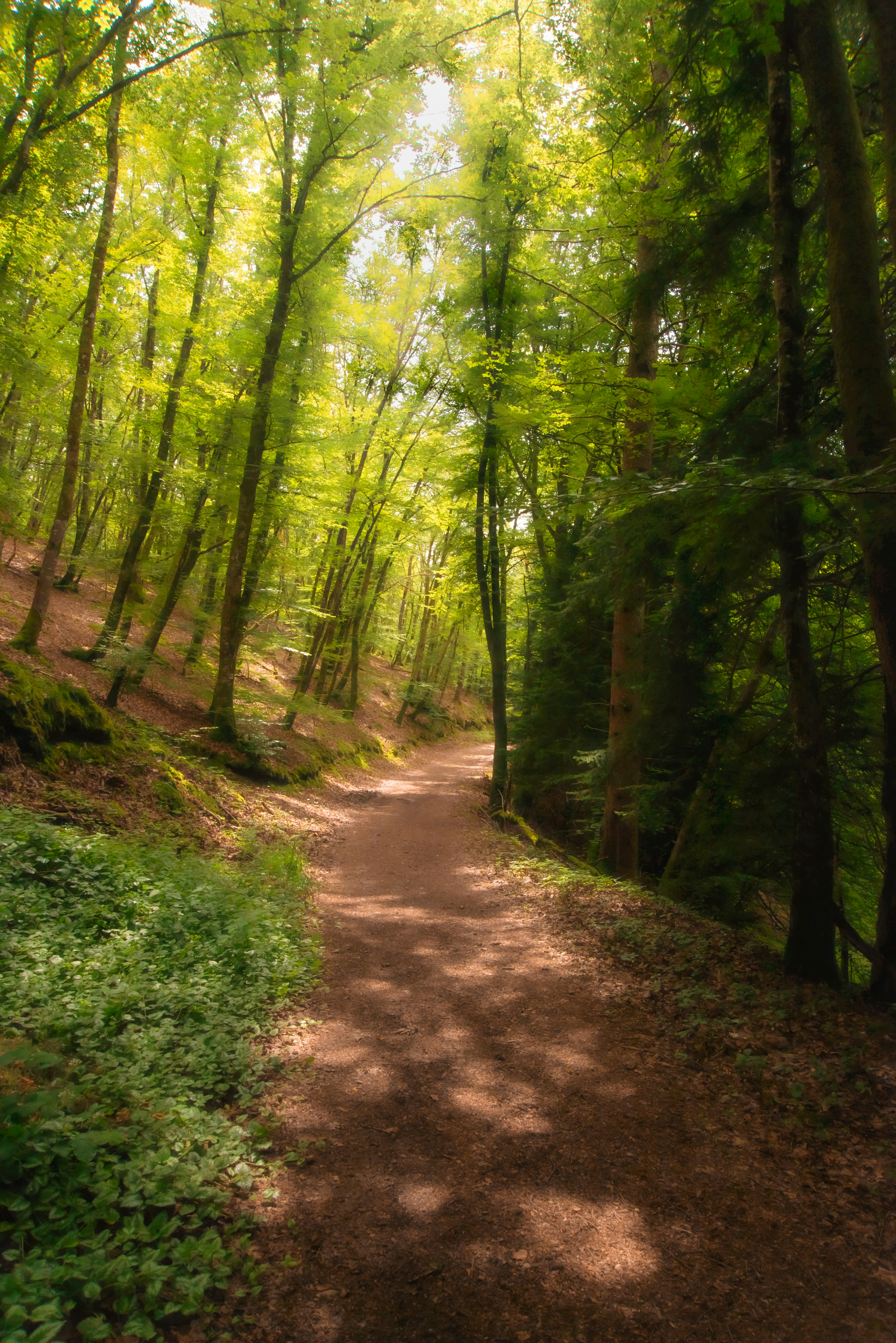 Photo by animaphotos