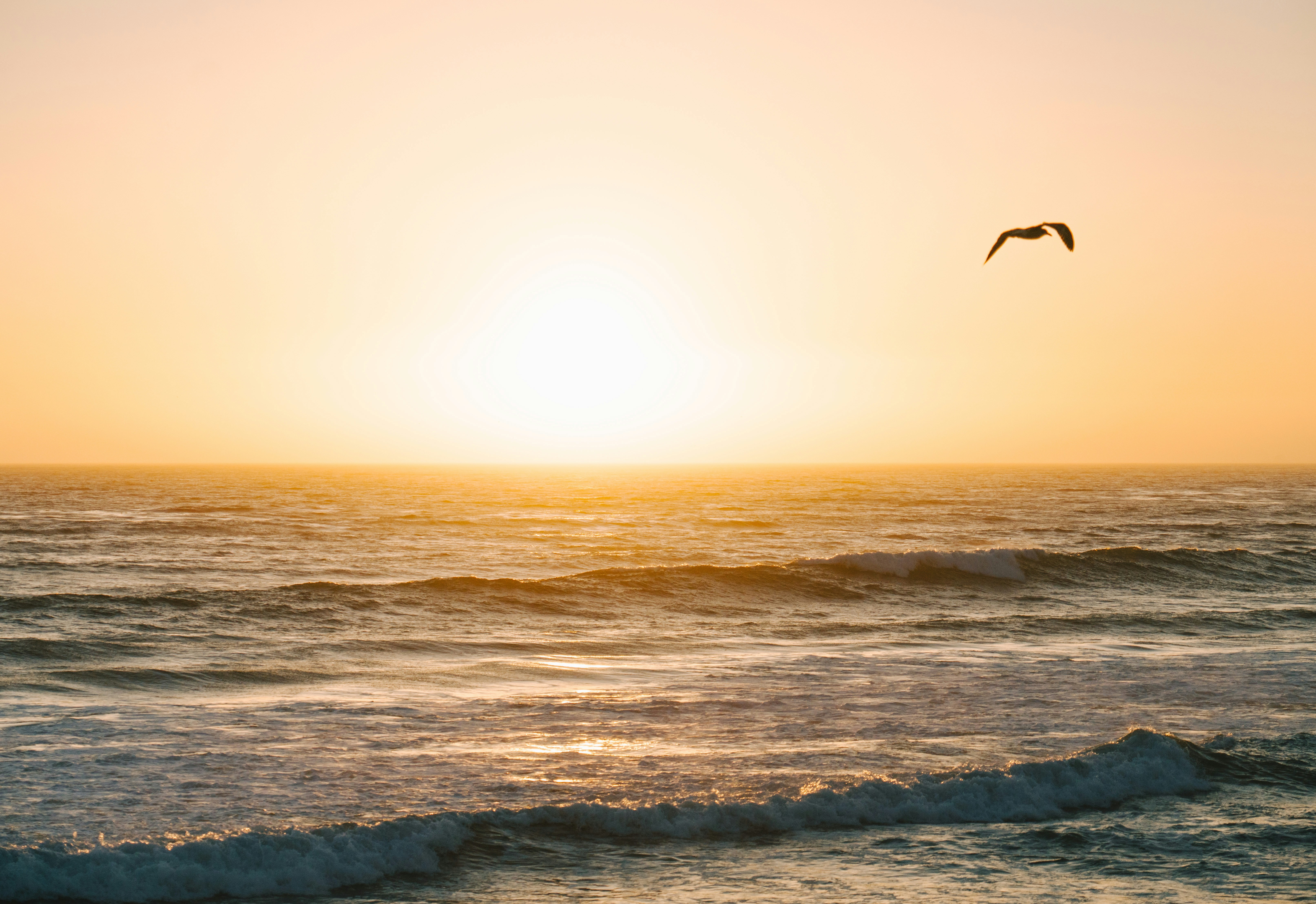 Photo by juniperphoton