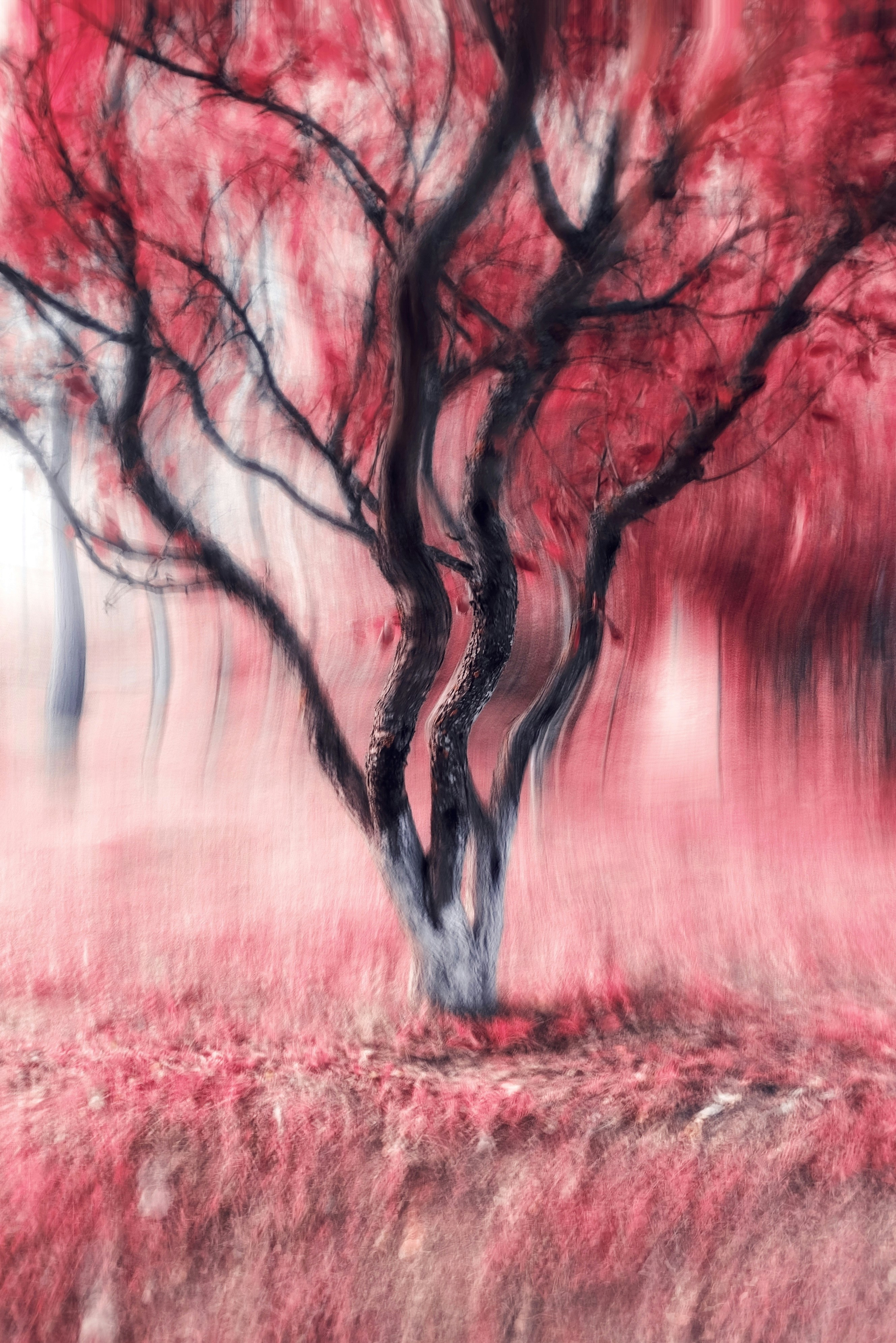 Photo by eugene_golovesov