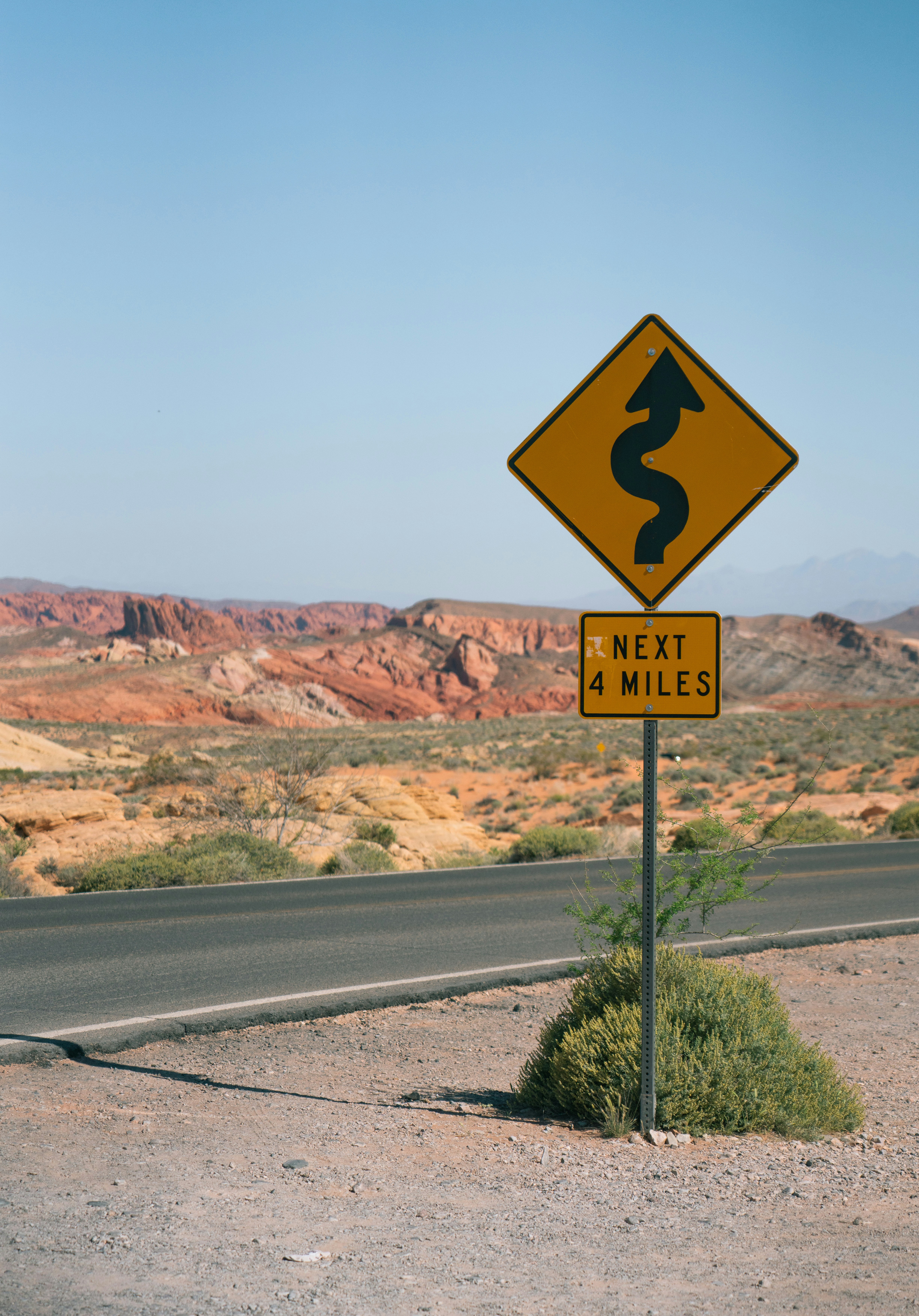 Photo by juniperphoton