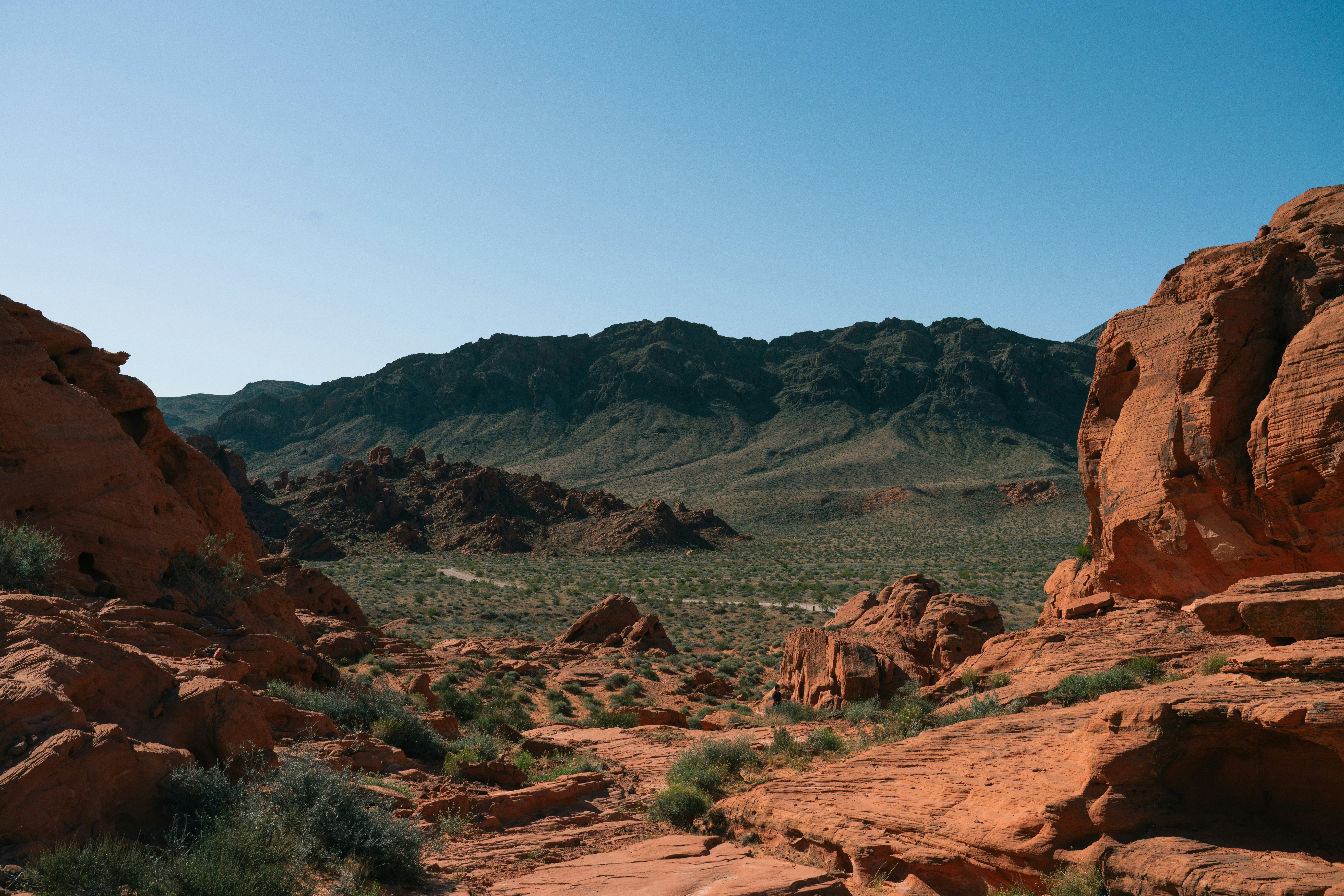 Photo by juniperphoton