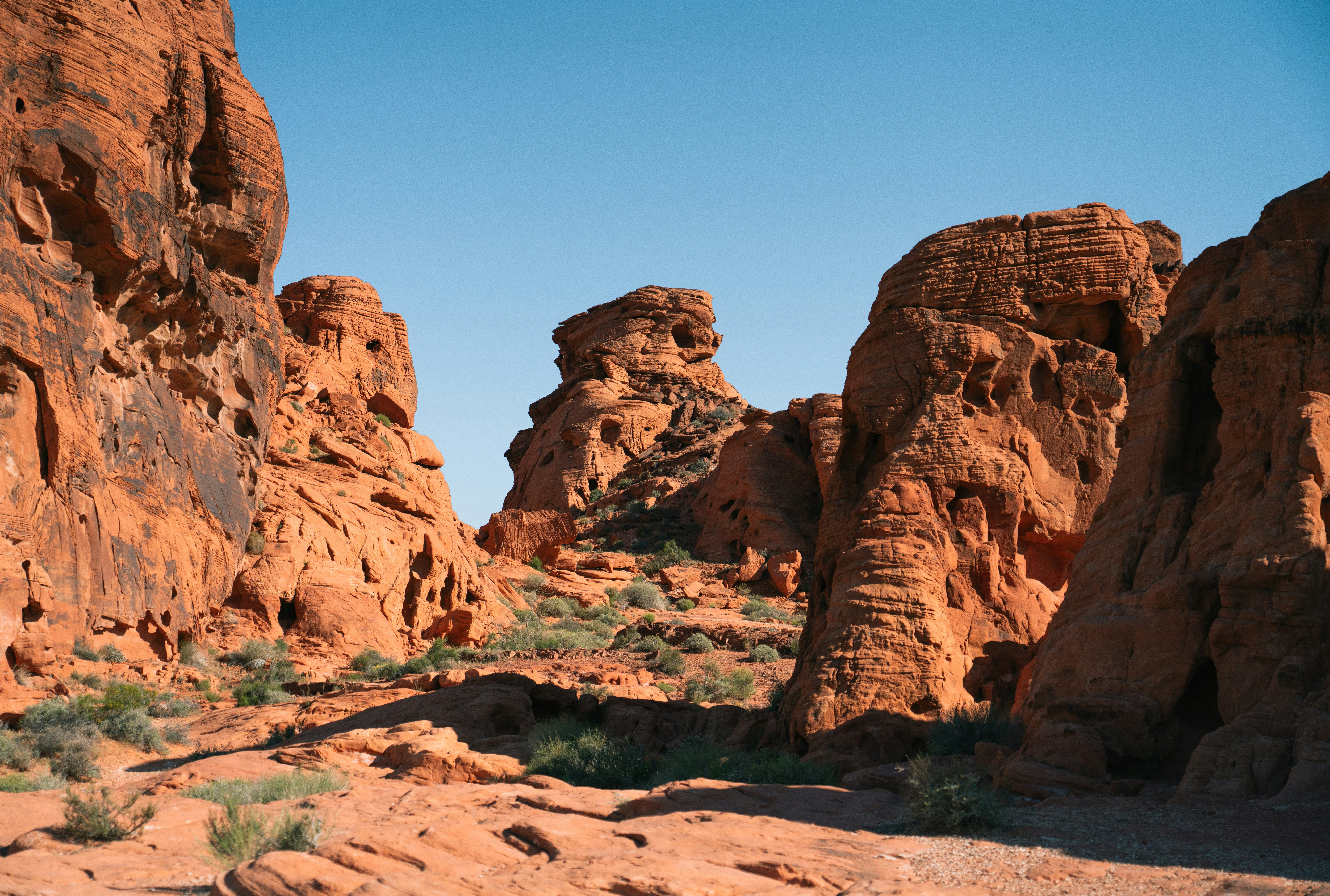 Photo by juniperphoton