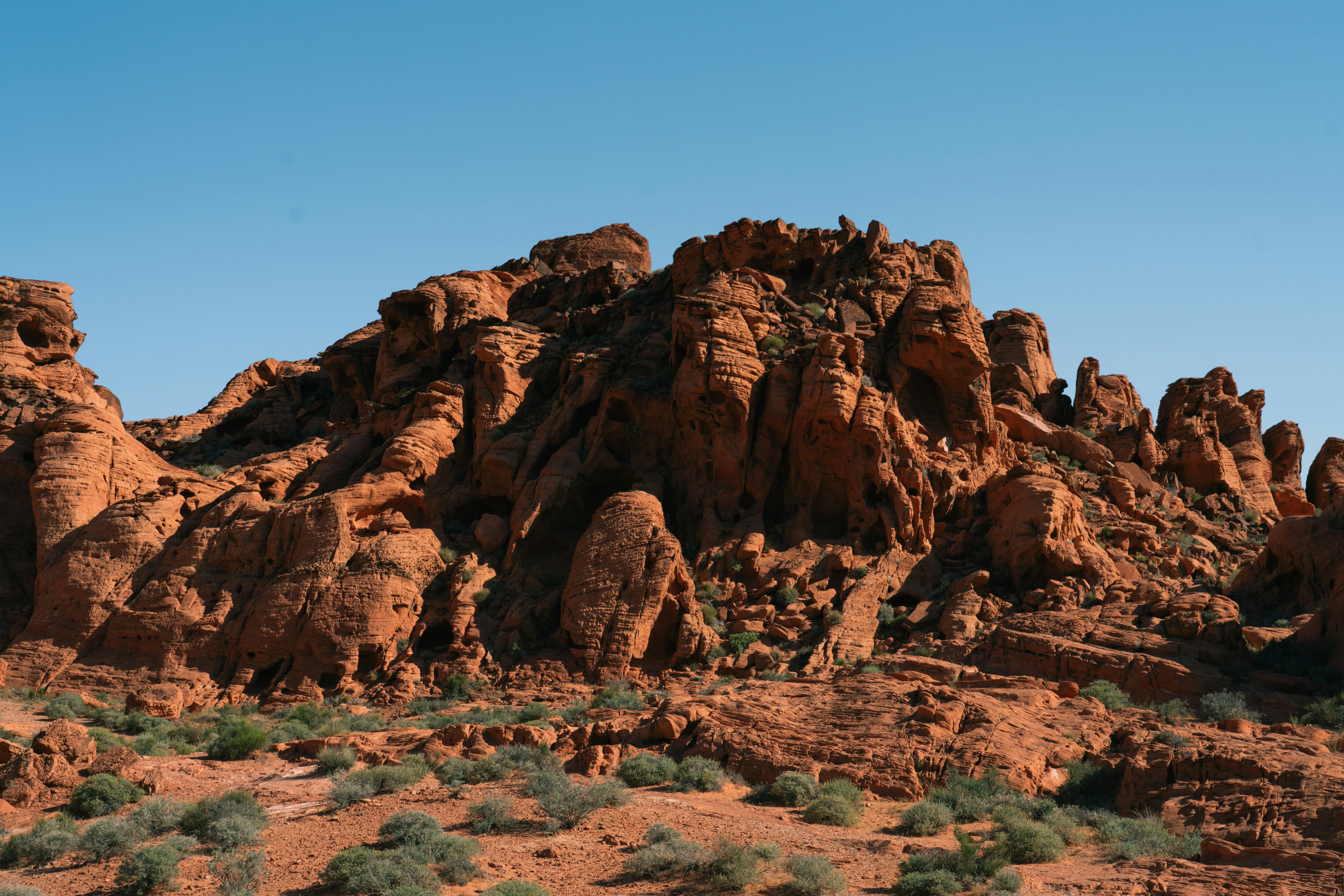 Photo by juniperphoton