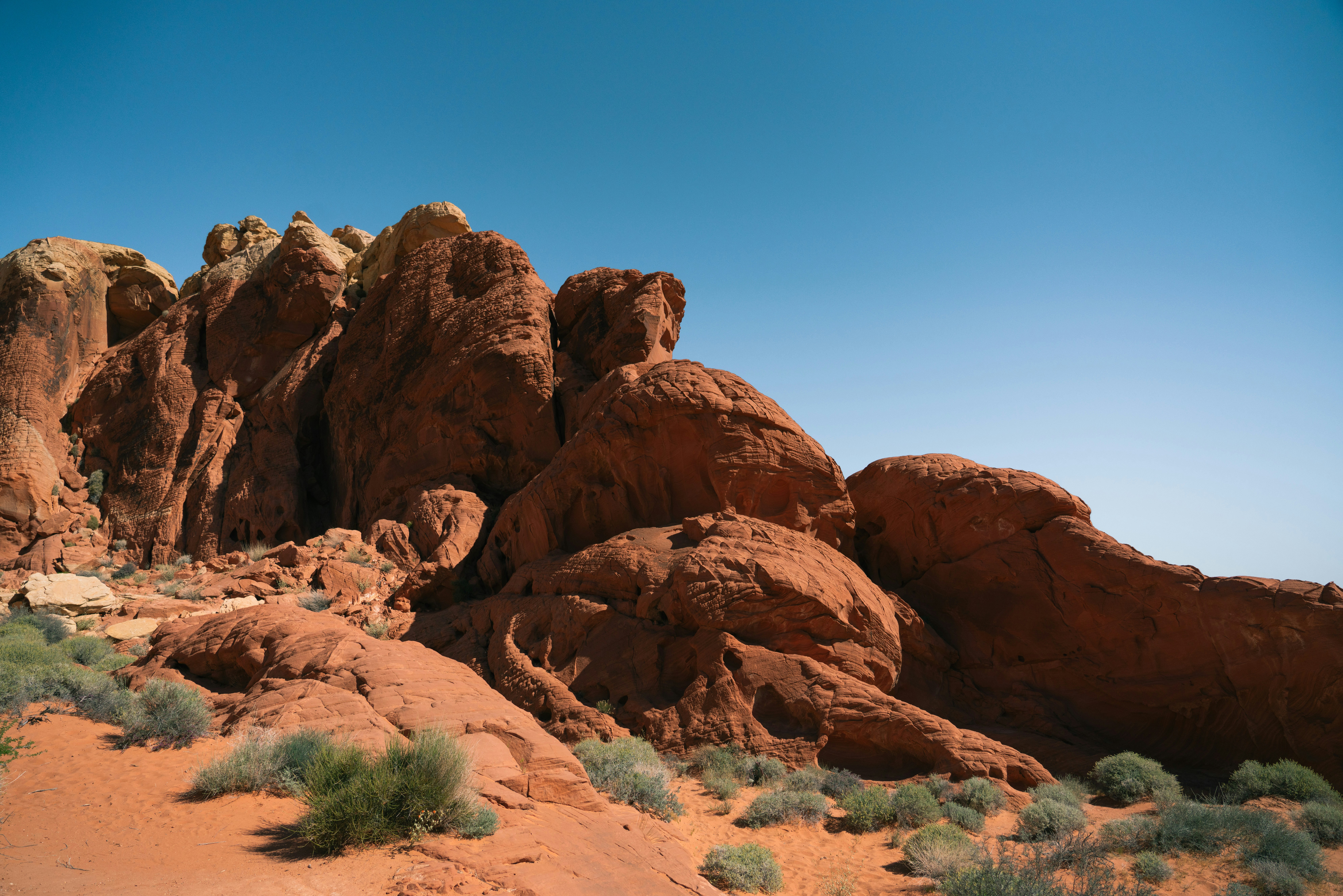 Photo by juniperphoton