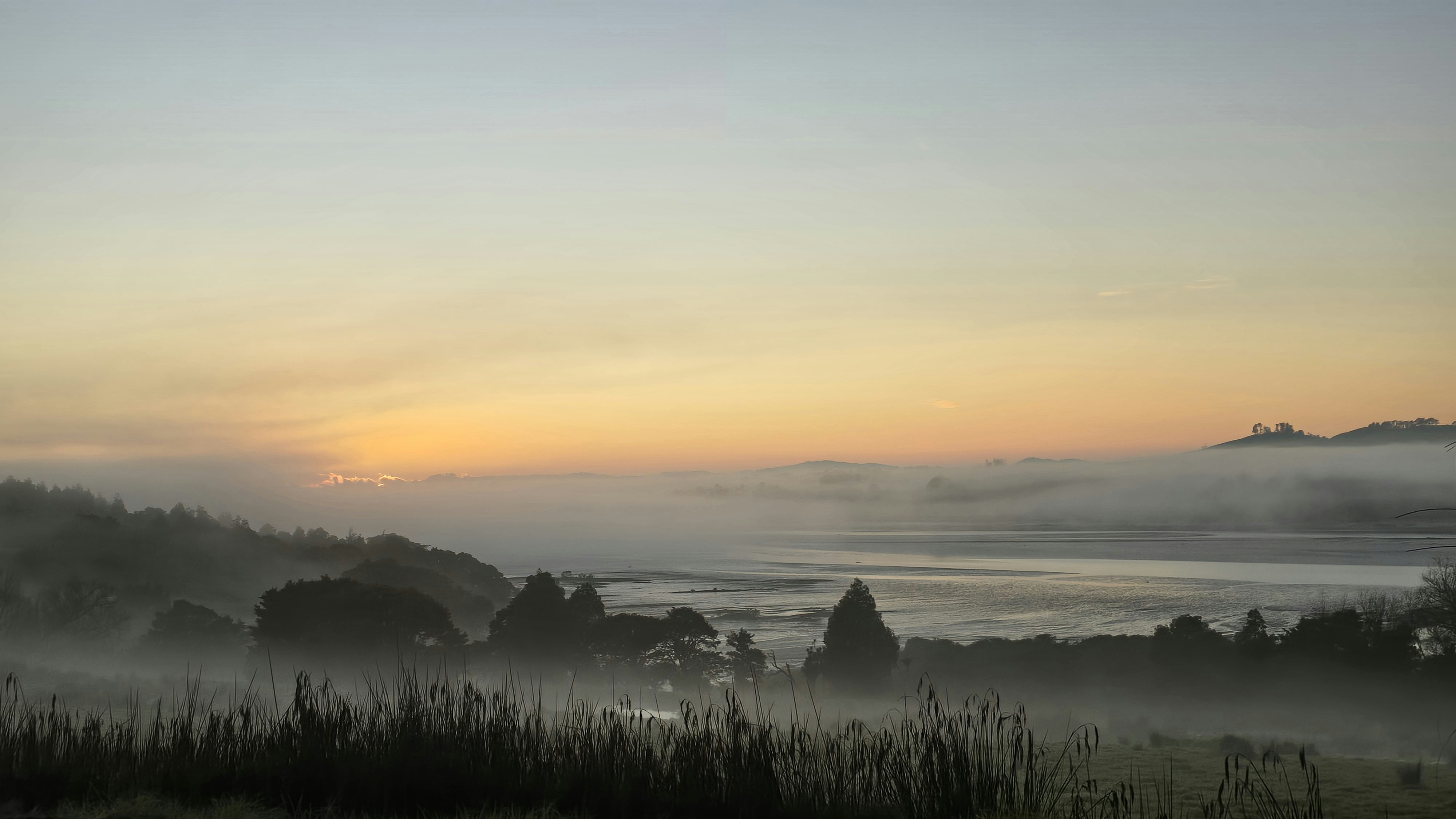 A foggy field with trees in the distance