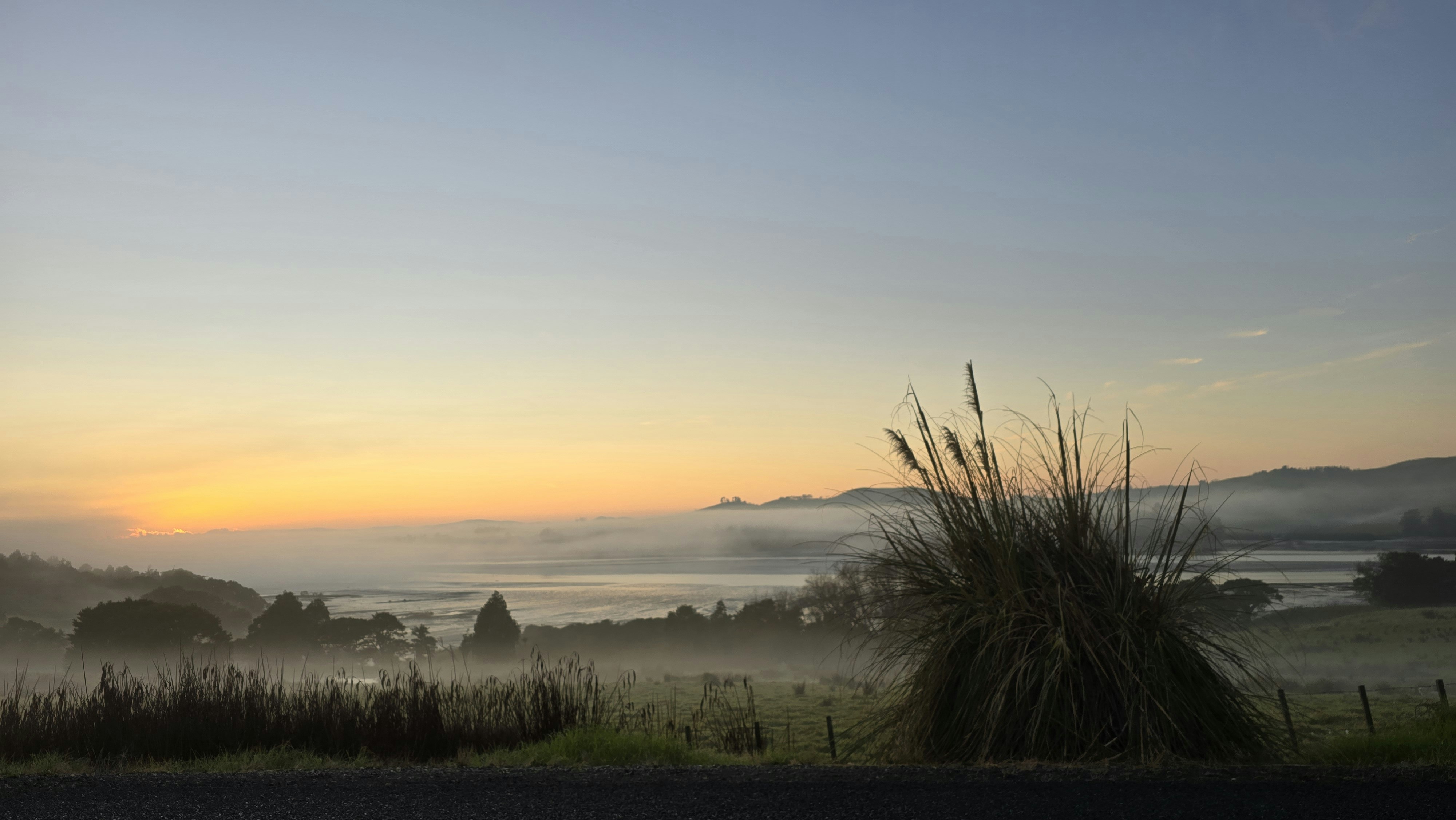 The sun is setting over a foggy field
