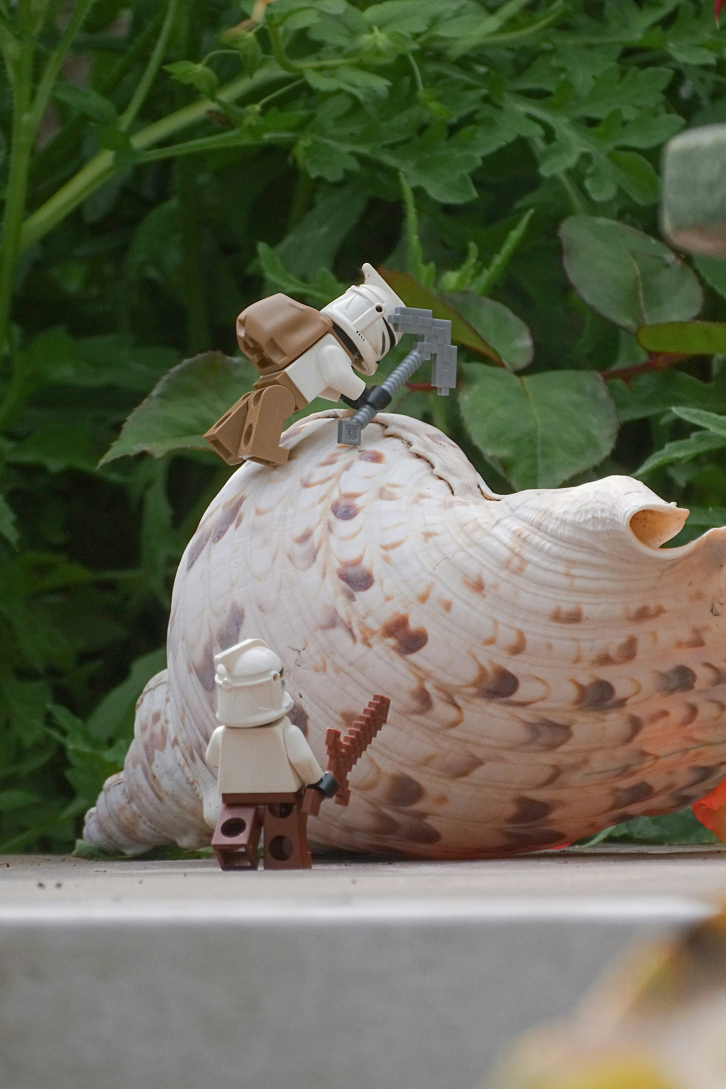 A star wars figurine laying on the ground next to a shell