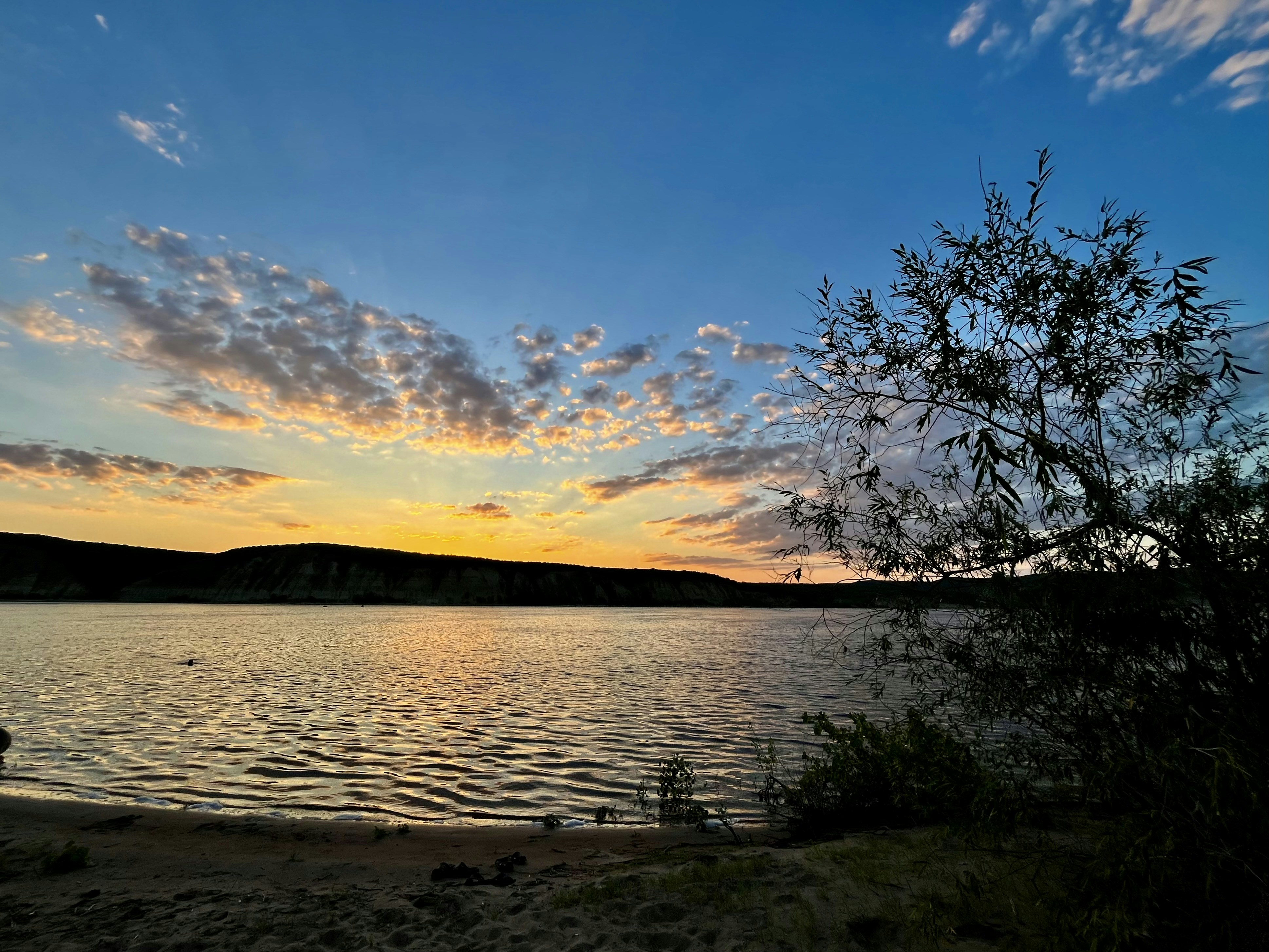 Photo by katrin_bloom