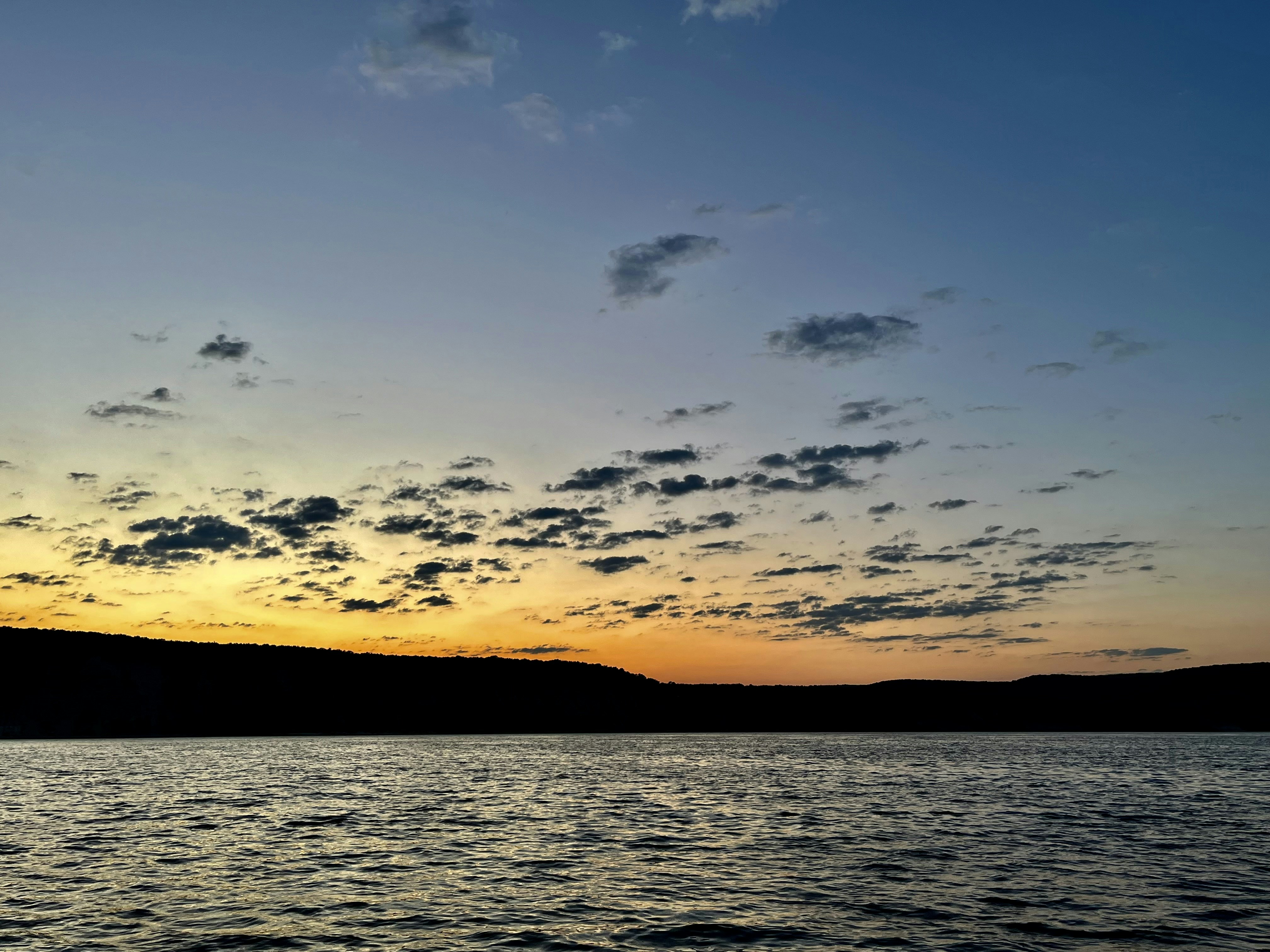 Photo by katrin_bloom