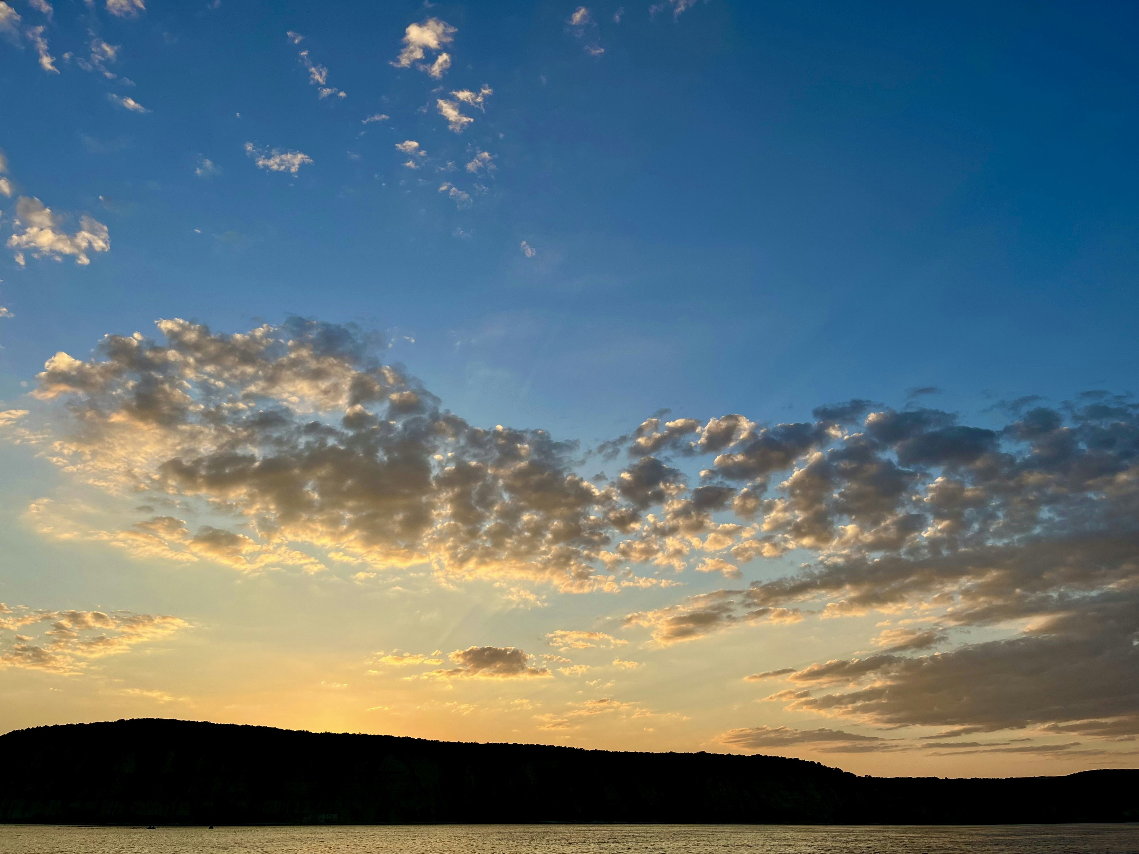 Photo by katrin_bloom