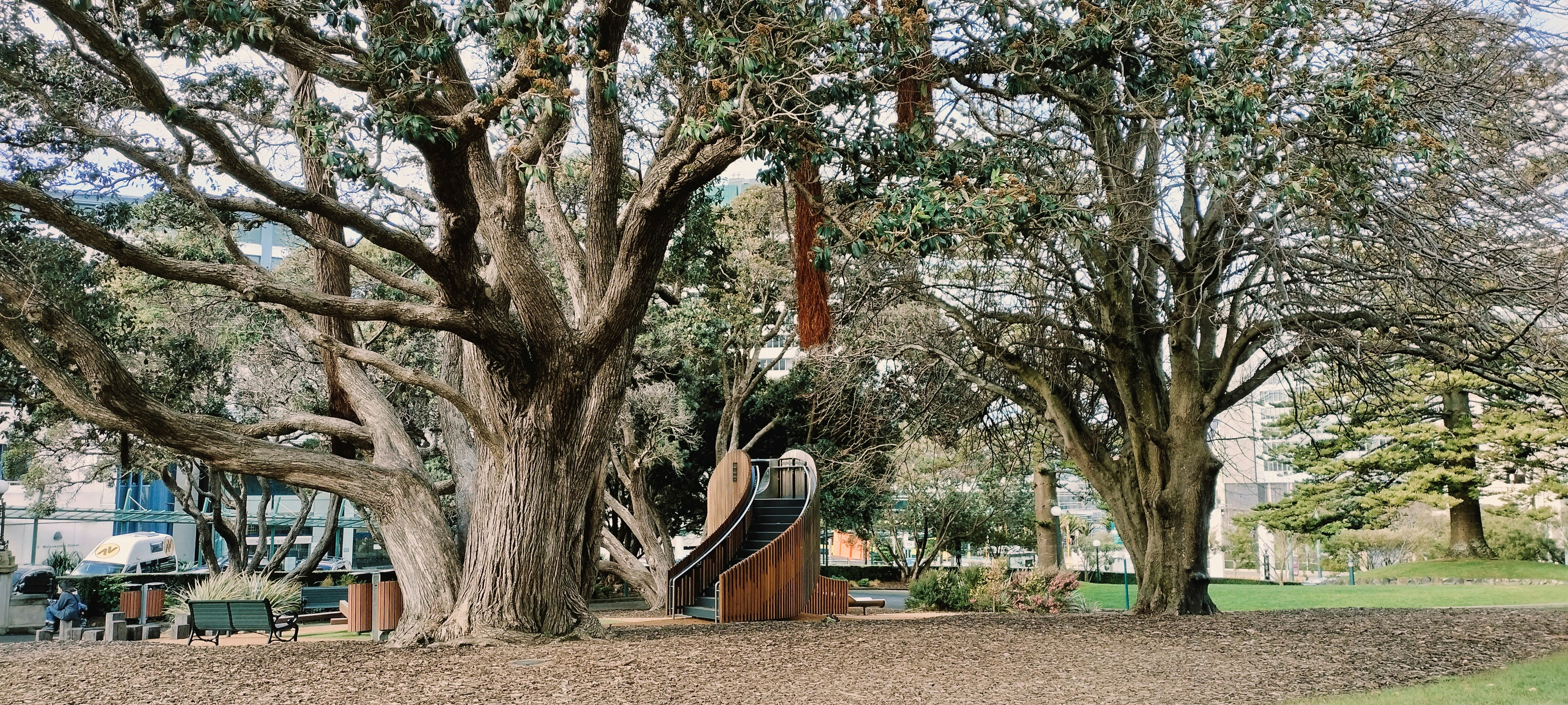 Wellington City Park
