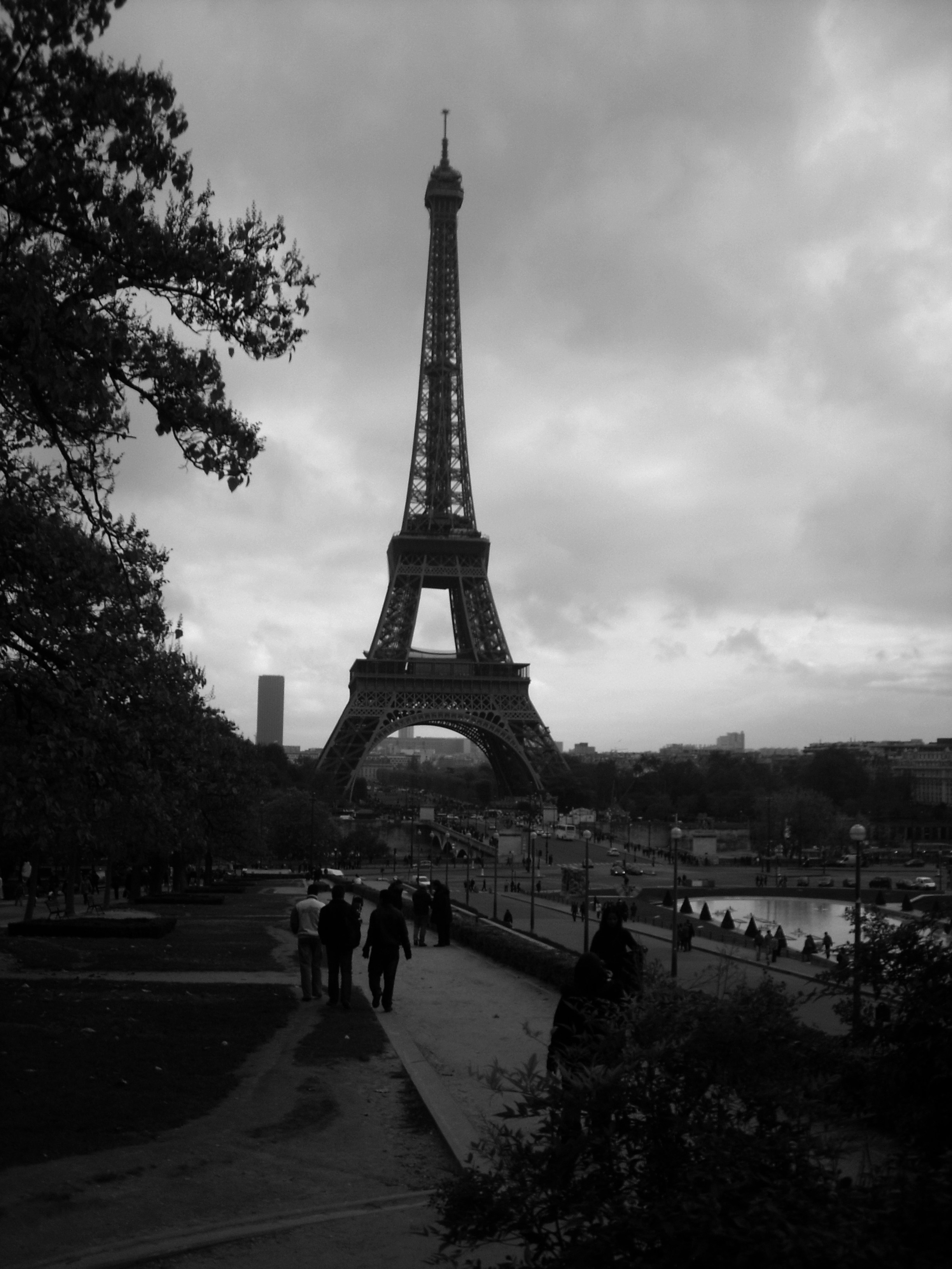 Photo by miguelbaixauli