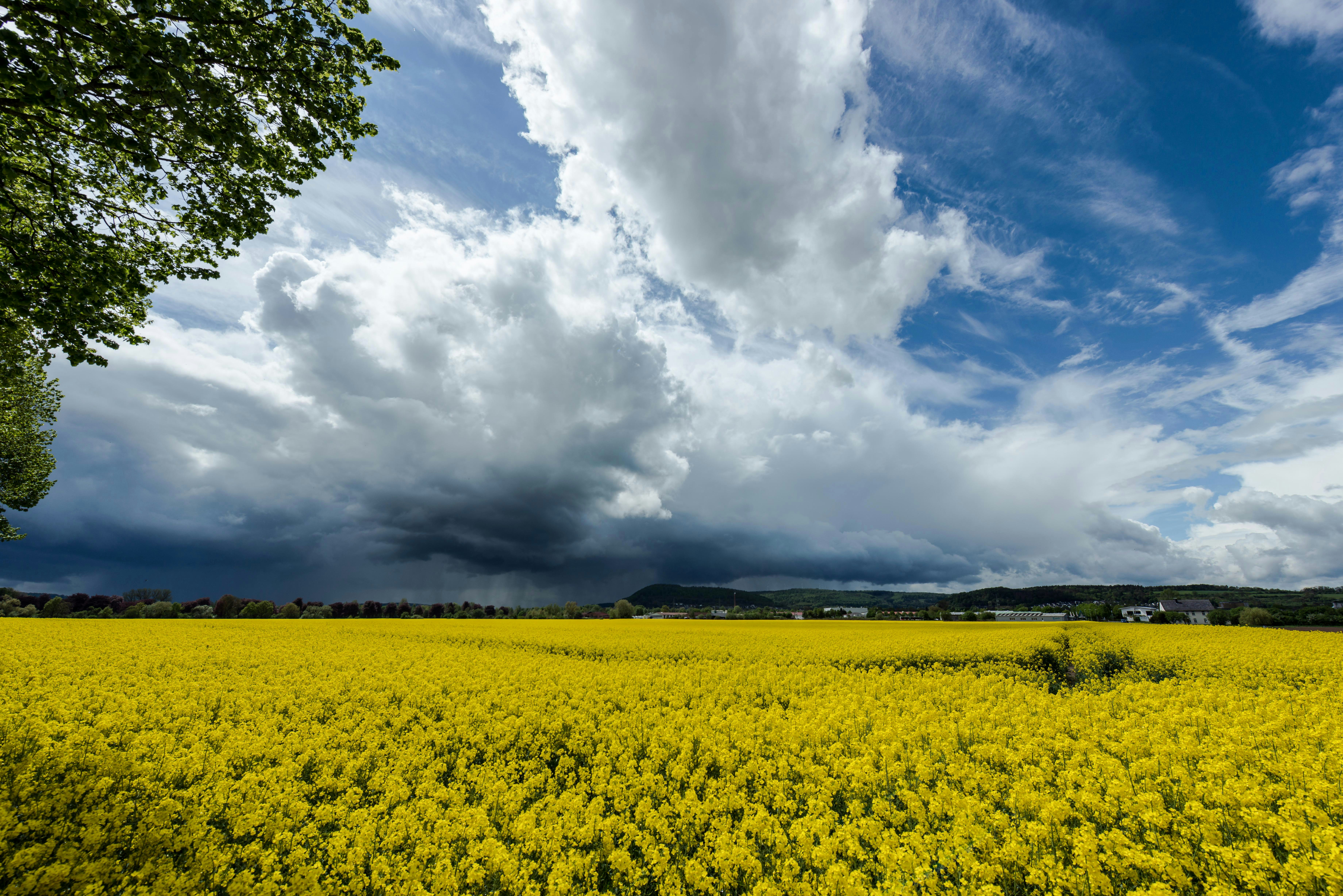 Photo by hamburgmeinefreundin