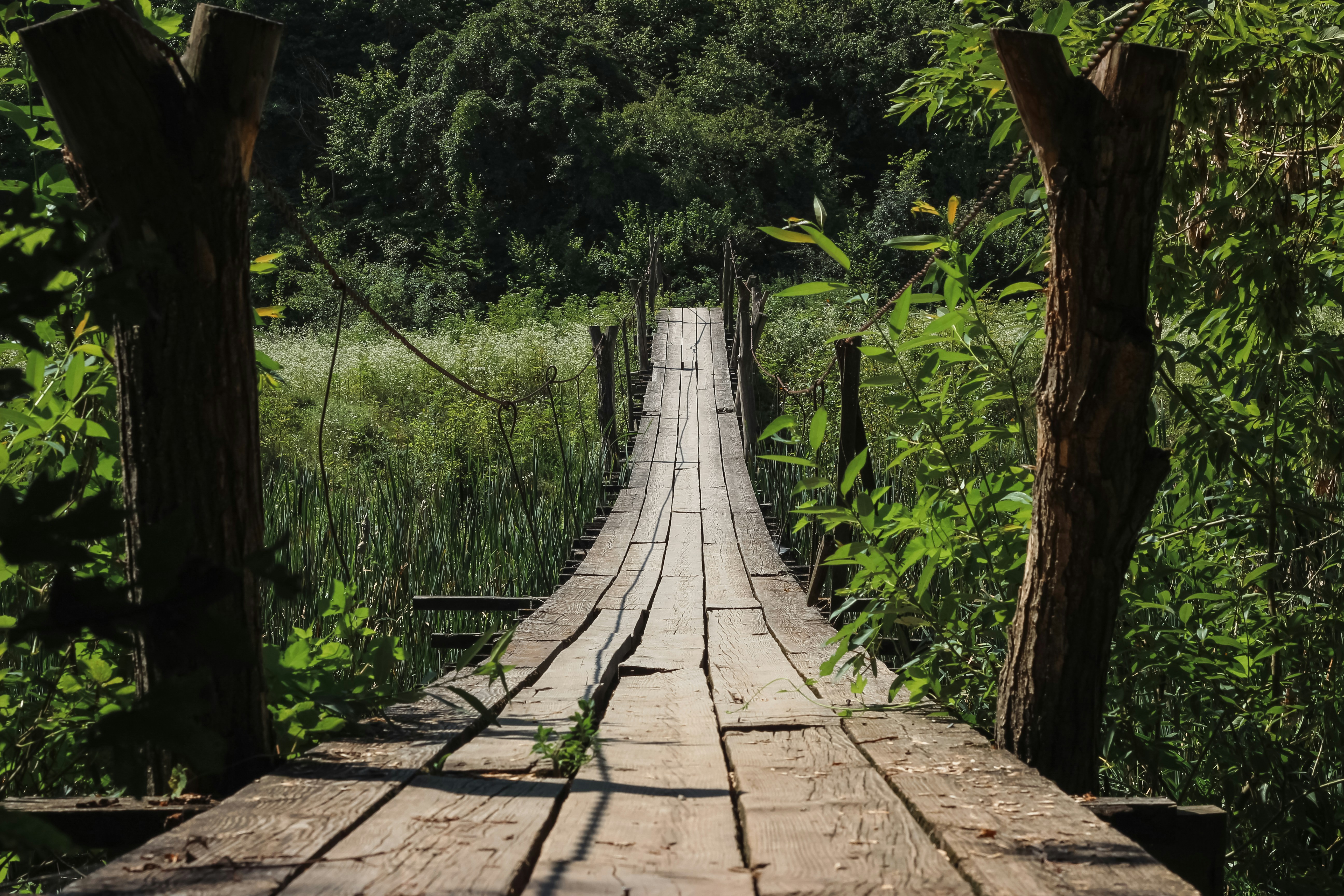 Photo by big_head_hunter