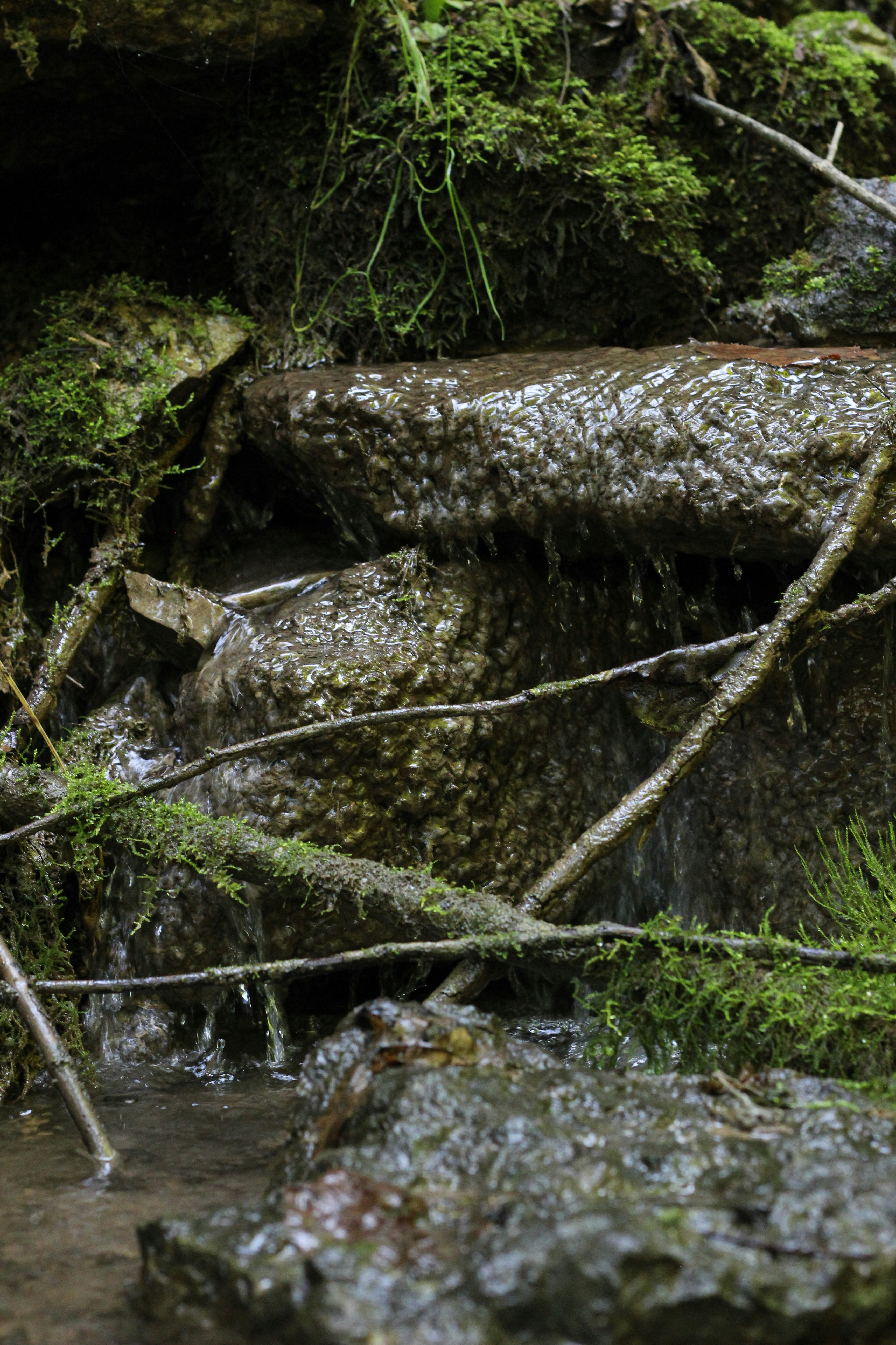 Photo by big_head_hunter