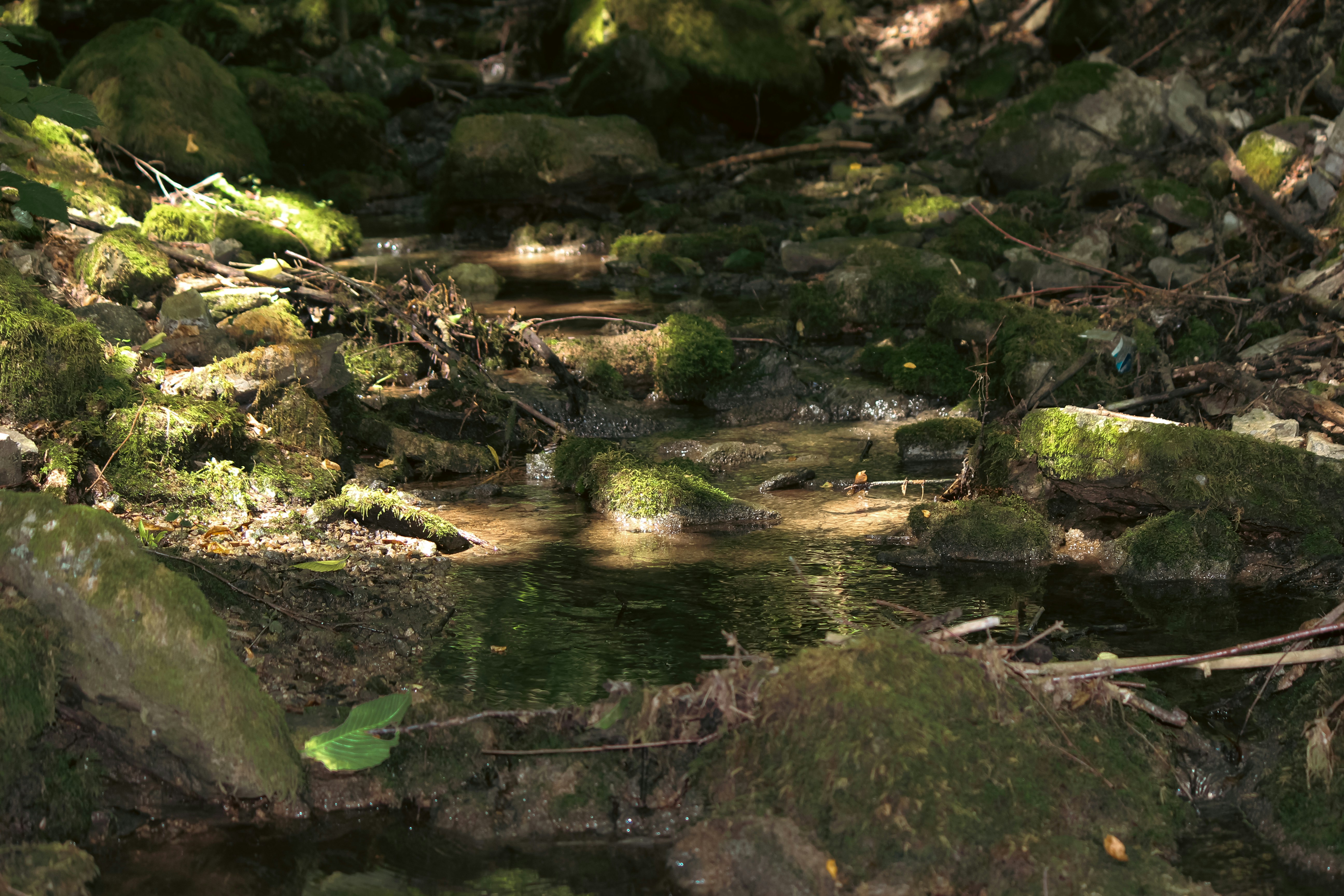 Photo by big_head_hunter