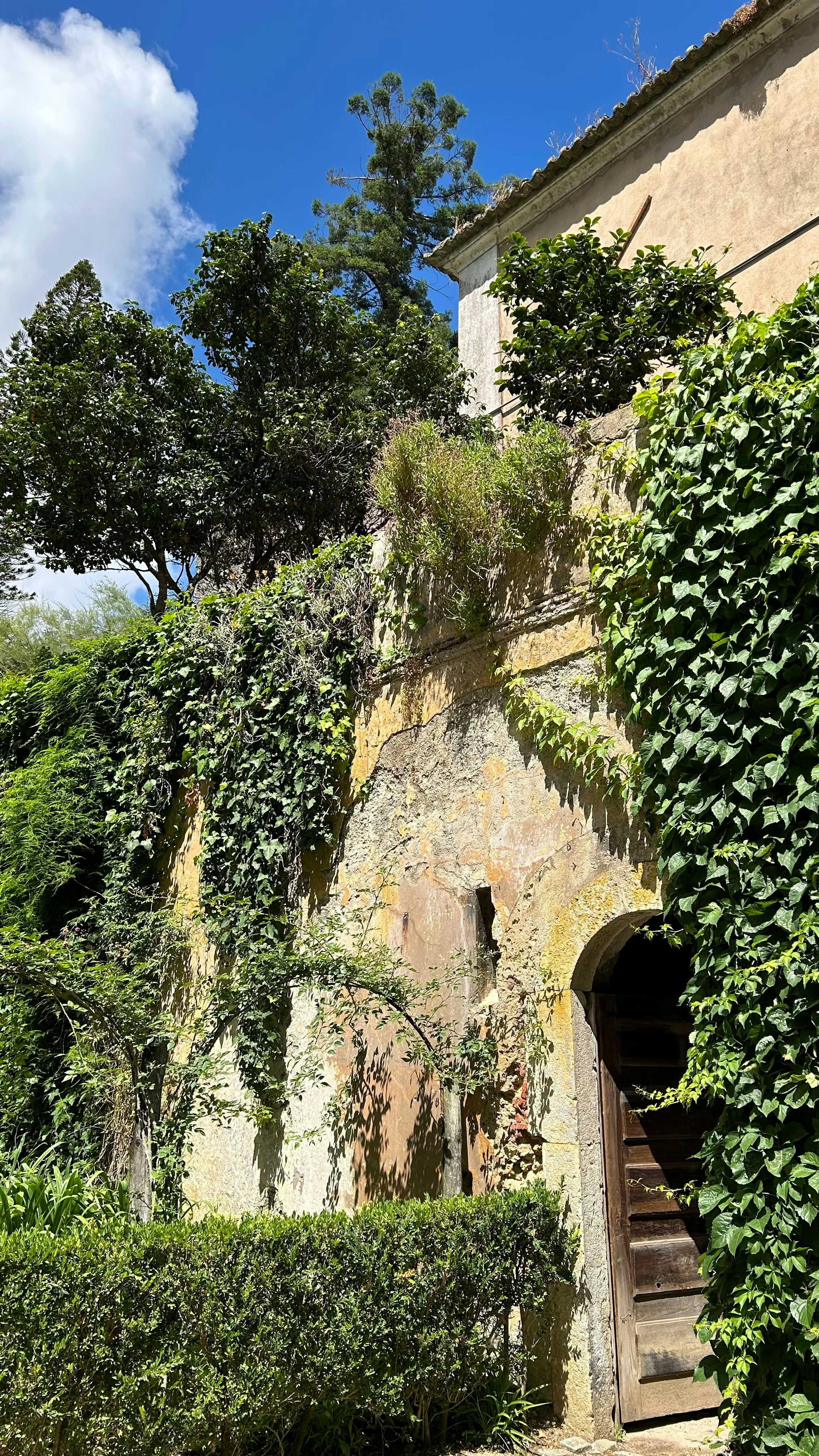 Photo by alenaintouch