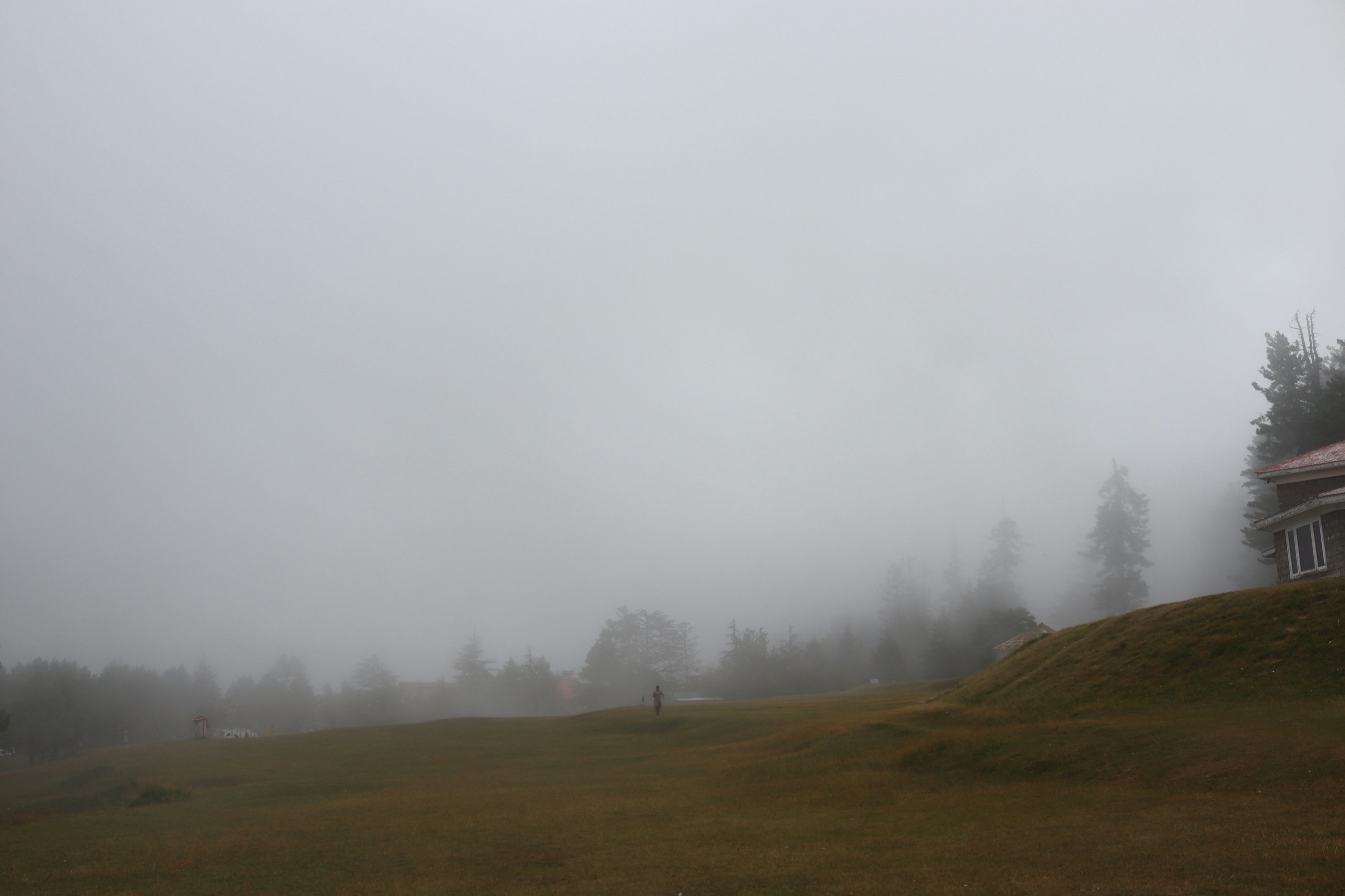 Photo by drphotographer152