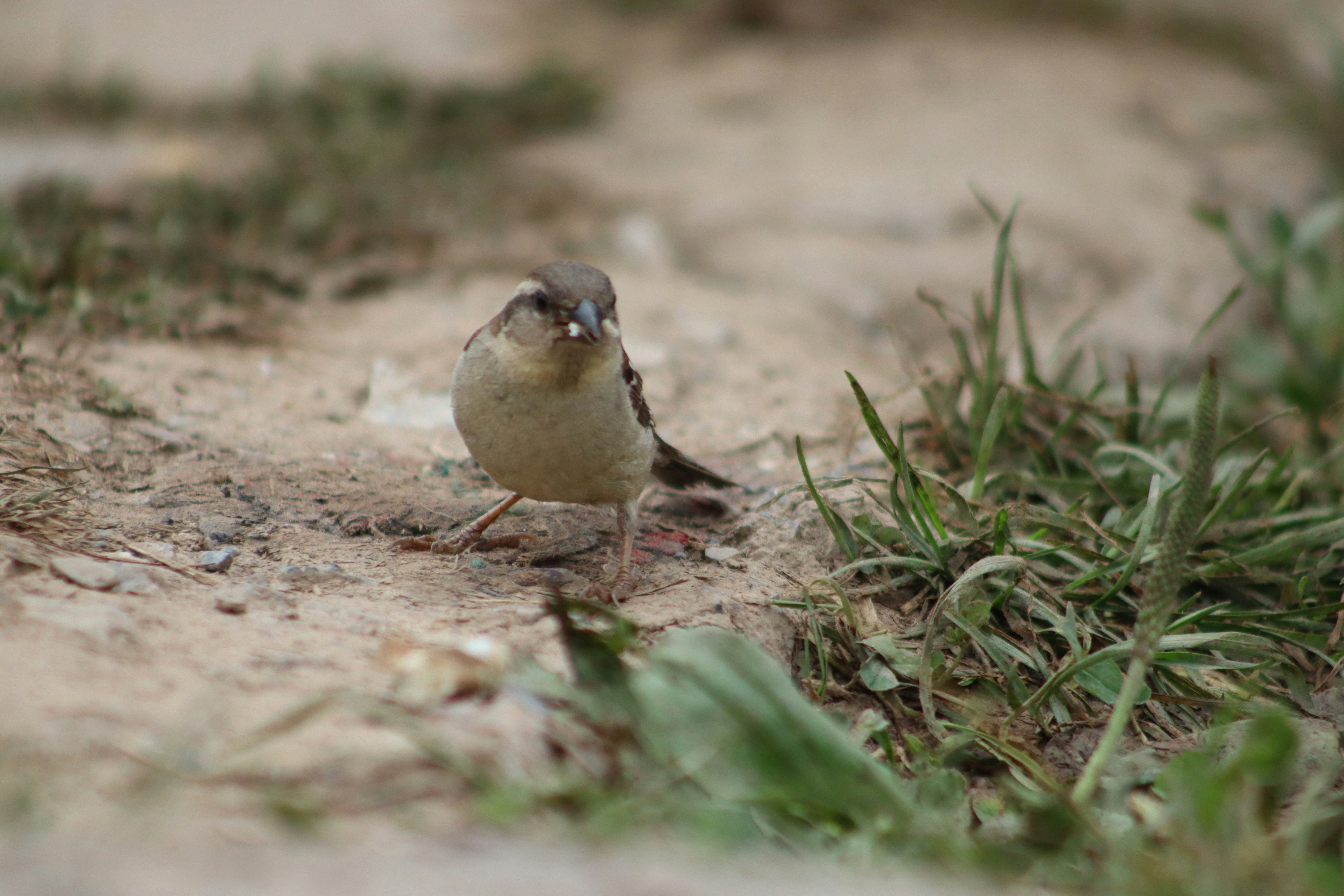 Photo by drphotographer152