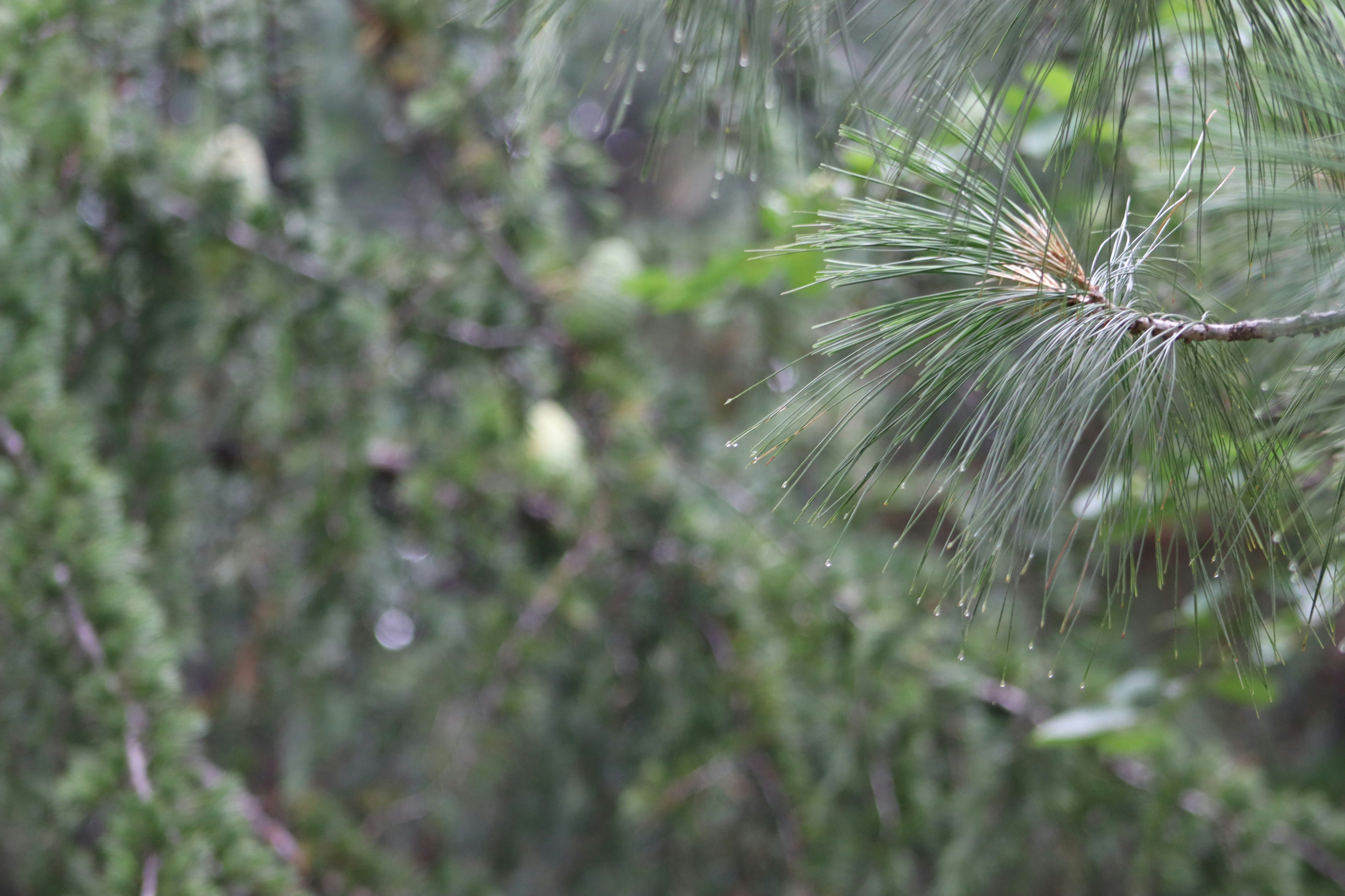 Photo by drphotographer152