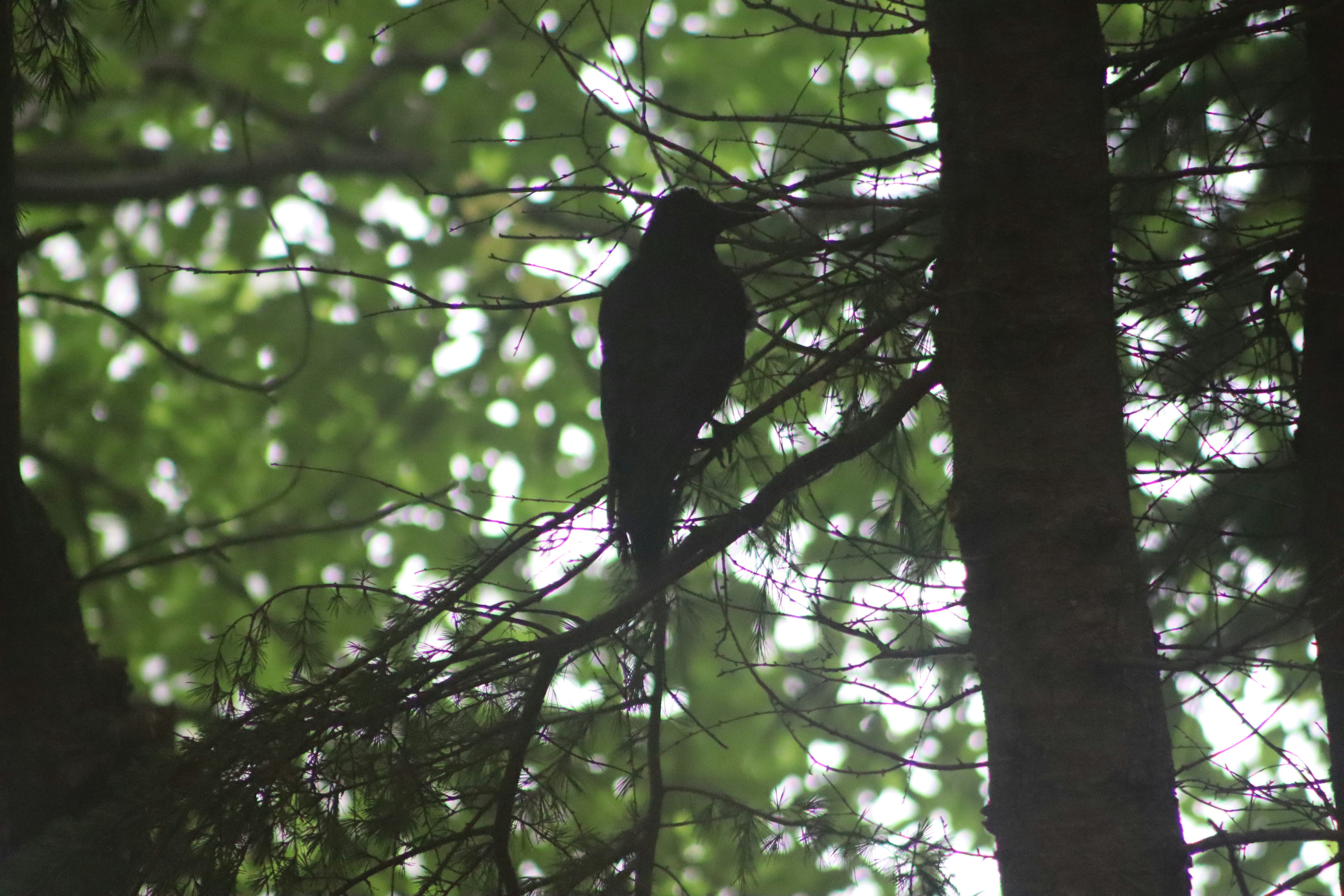 Photo by drphotographer152