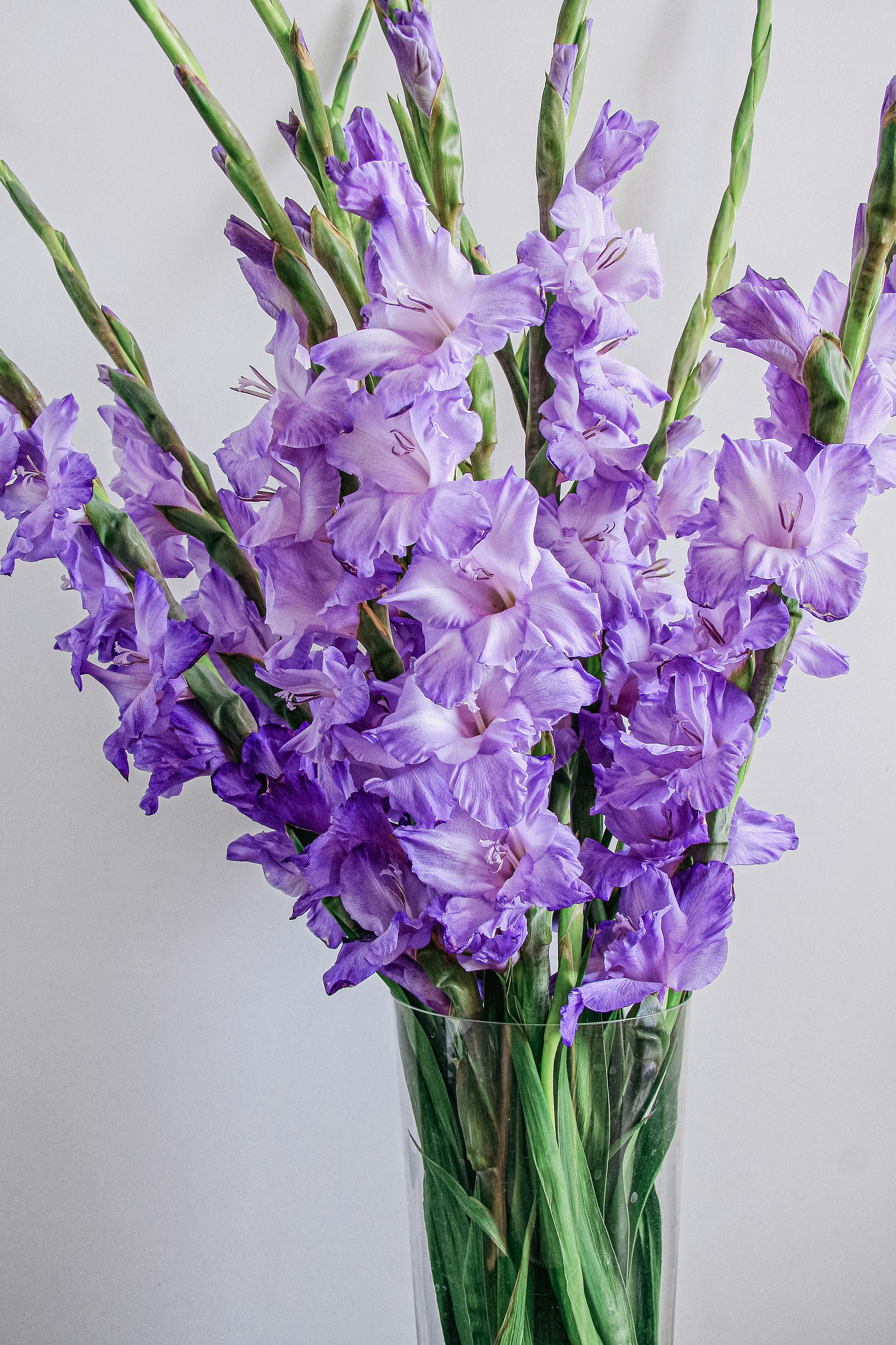 A vase filled with purple flowers on top of a table
