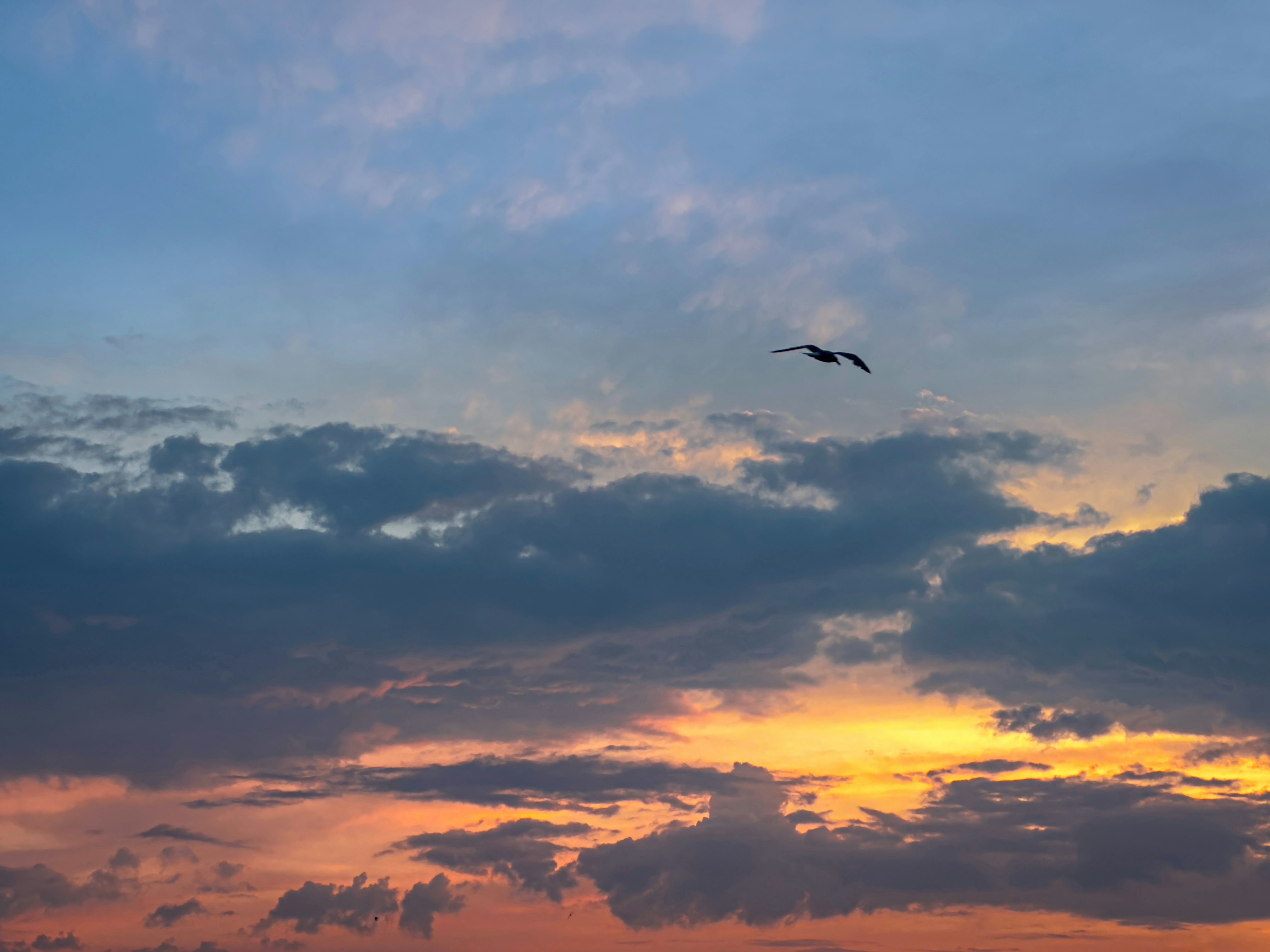 Photo by gamzeteoman