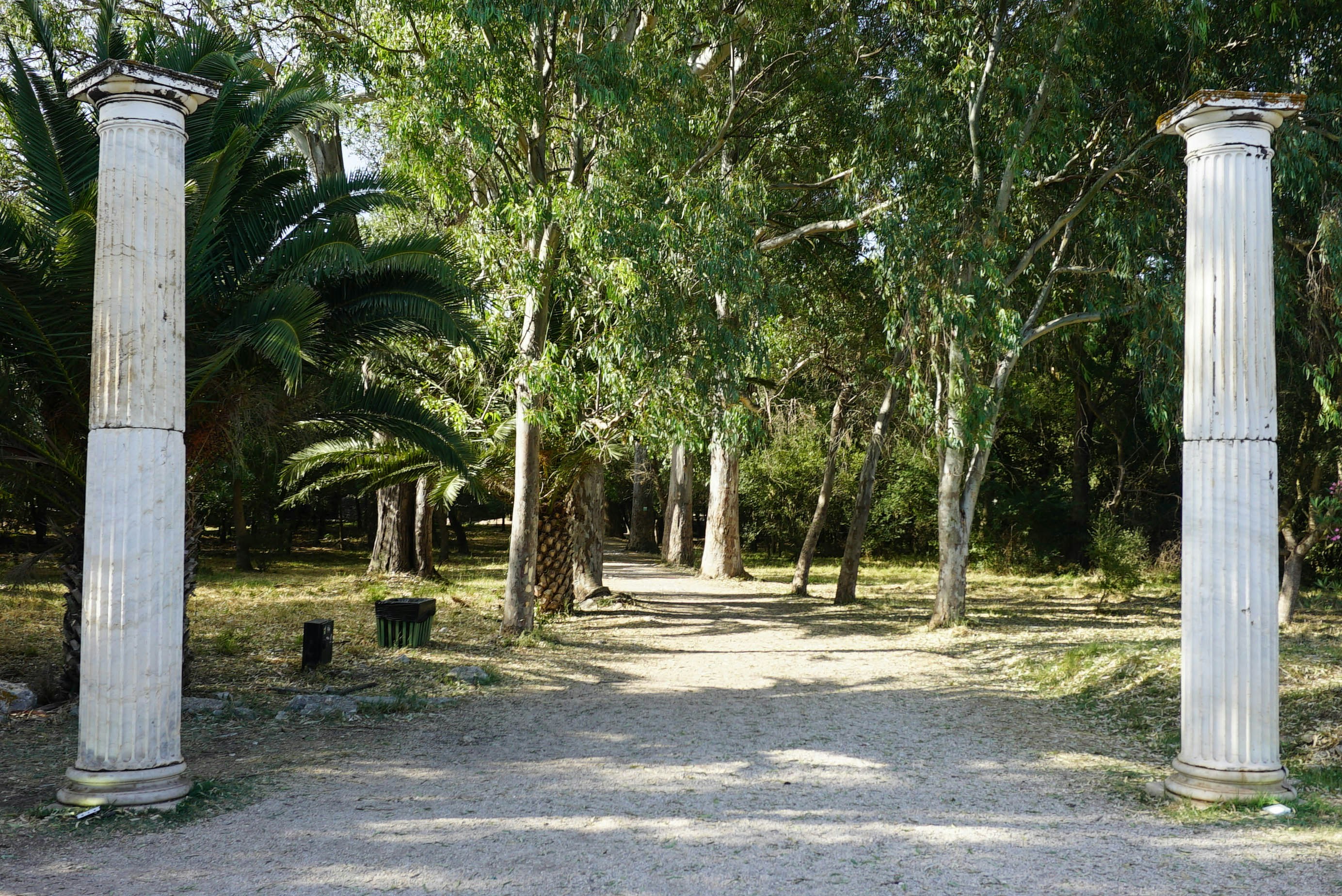 A dirt road surrounded by trees and white pillars