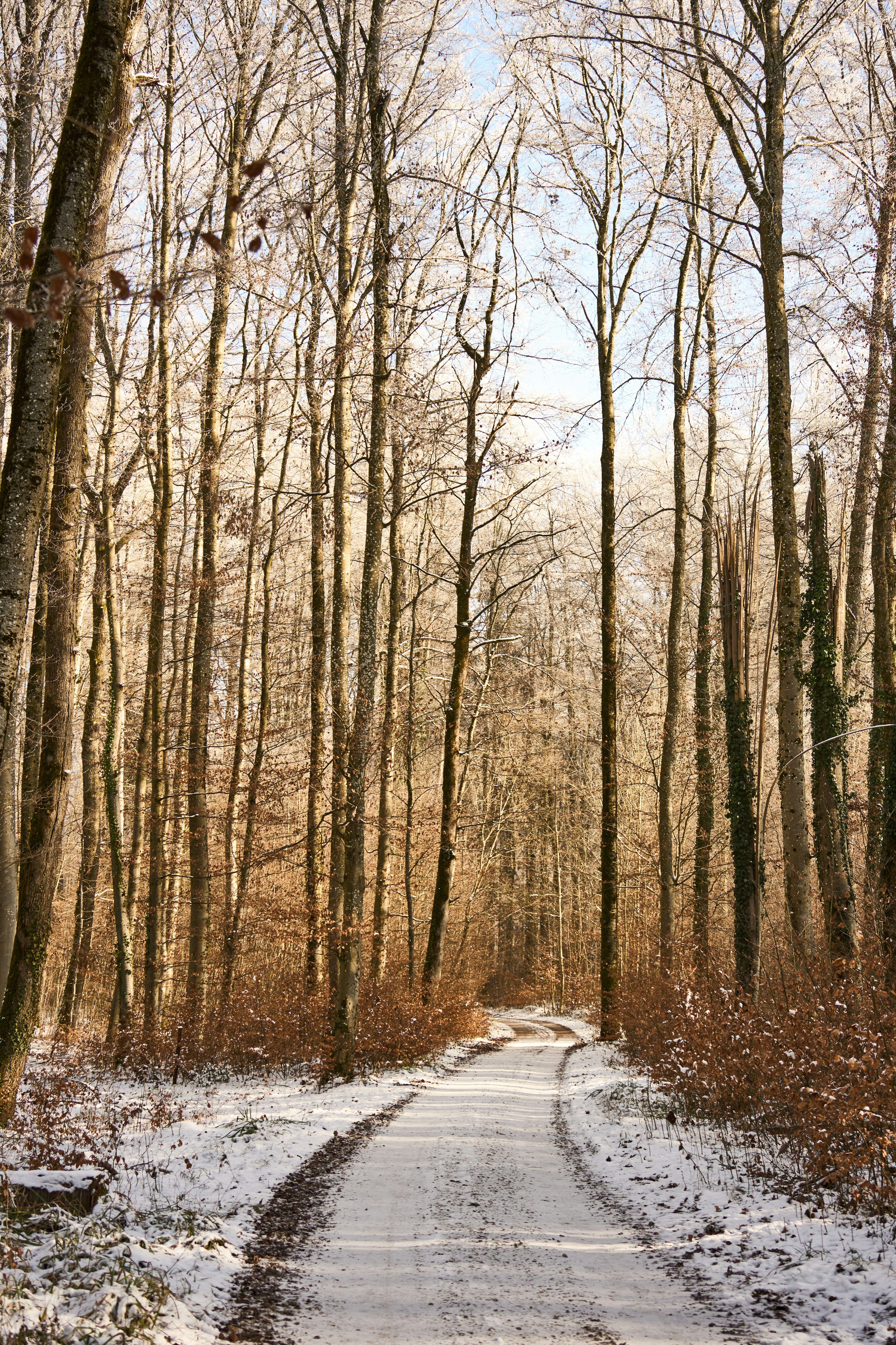 Photo by wolfgang_hasselmann