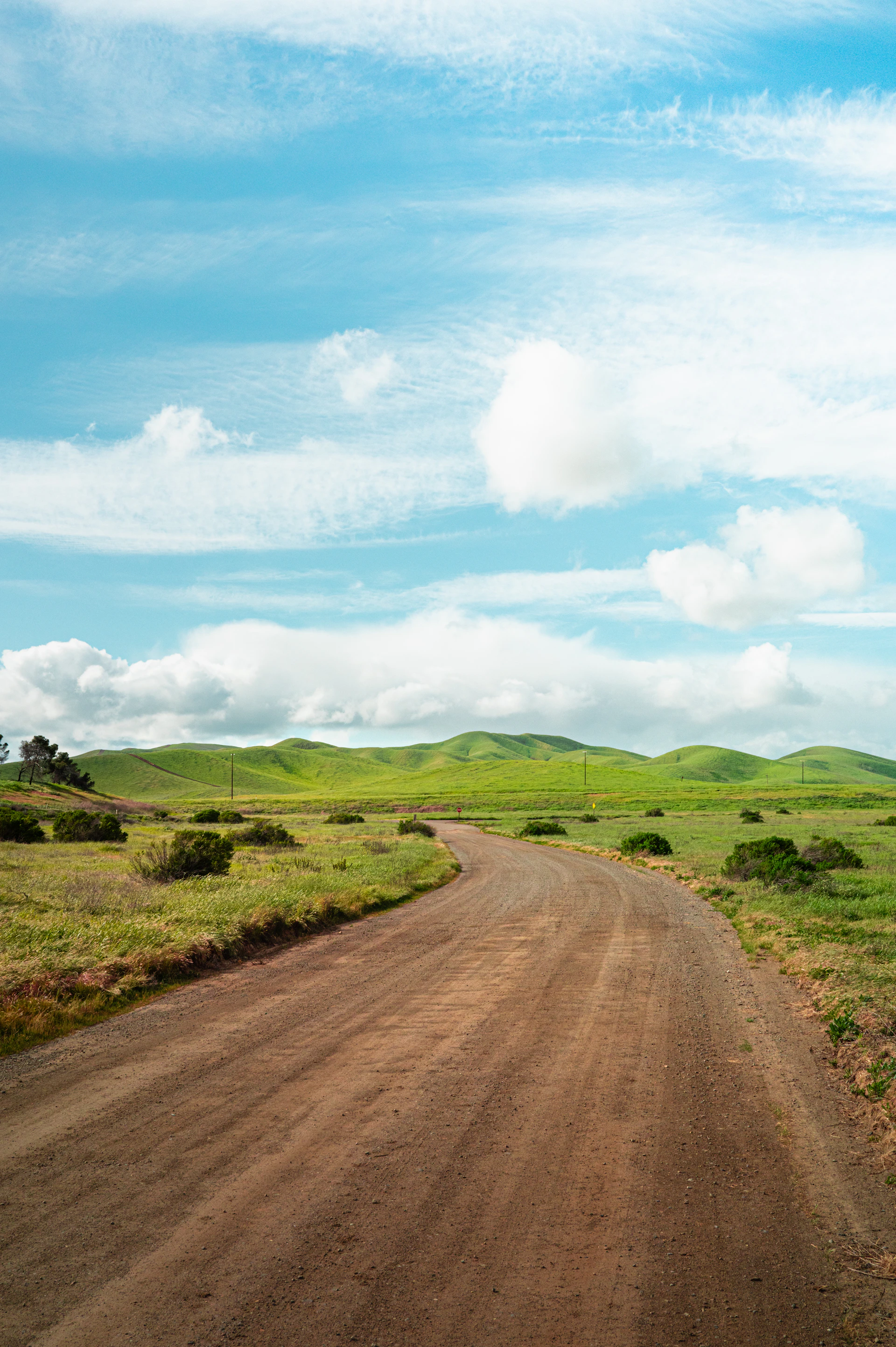A dirt road in the middle of a green field