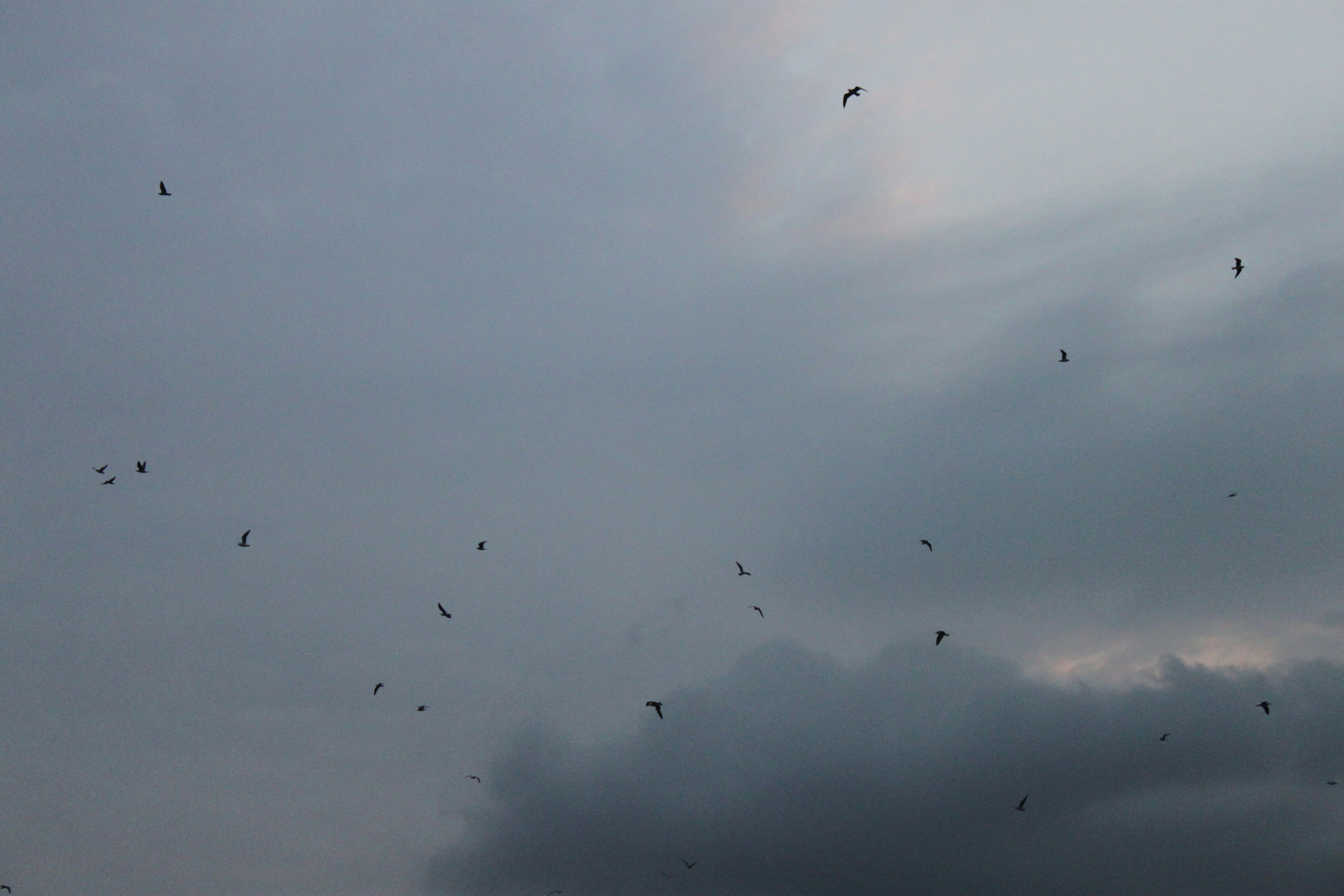 Photo by miguelbaixauli